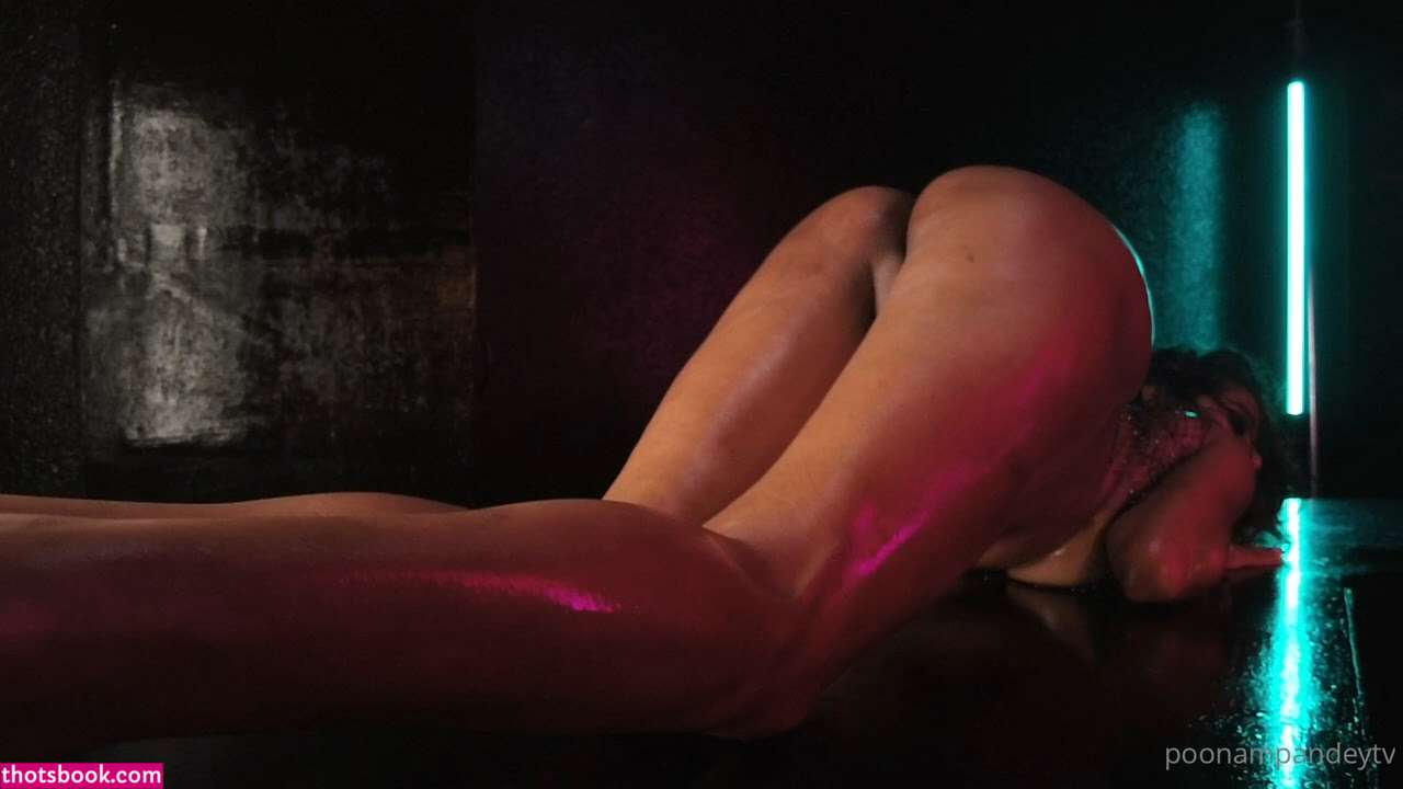 Poonam Pandey Nude OnlyFans Photos #5 487819