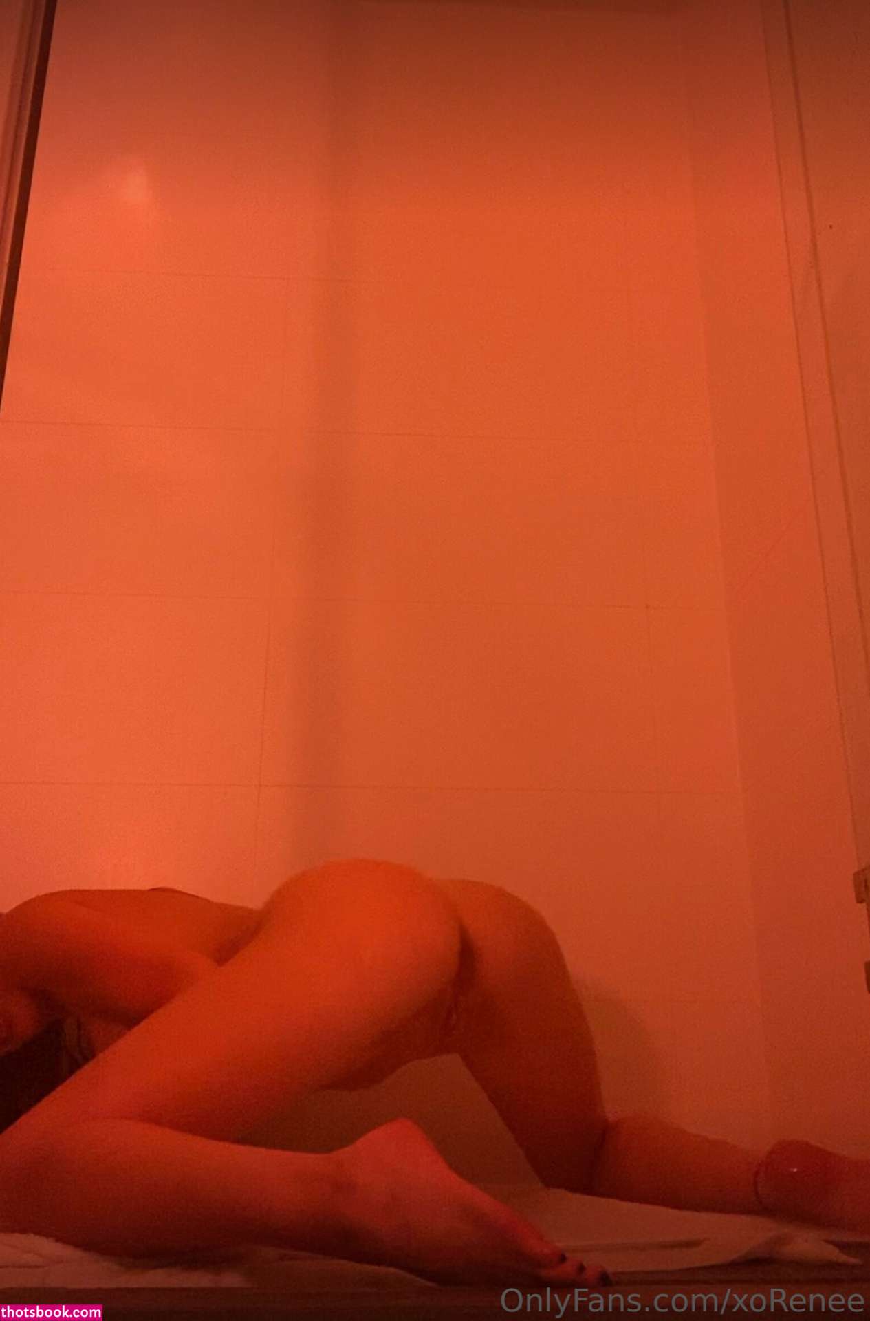 Renee Olstead xoreneeo Nude OnlyFans Photos #23 487899