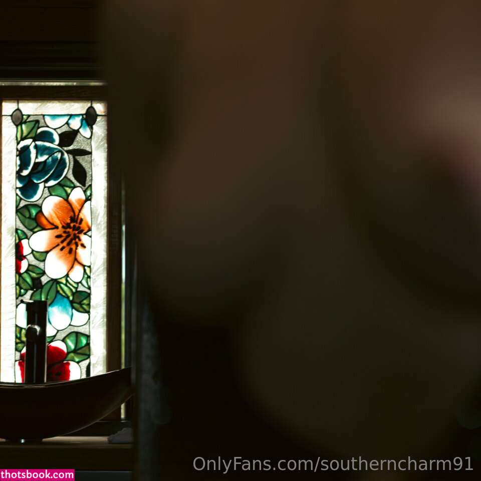 Southerncharm91 Nude OnlyFans Photos #20 532060
