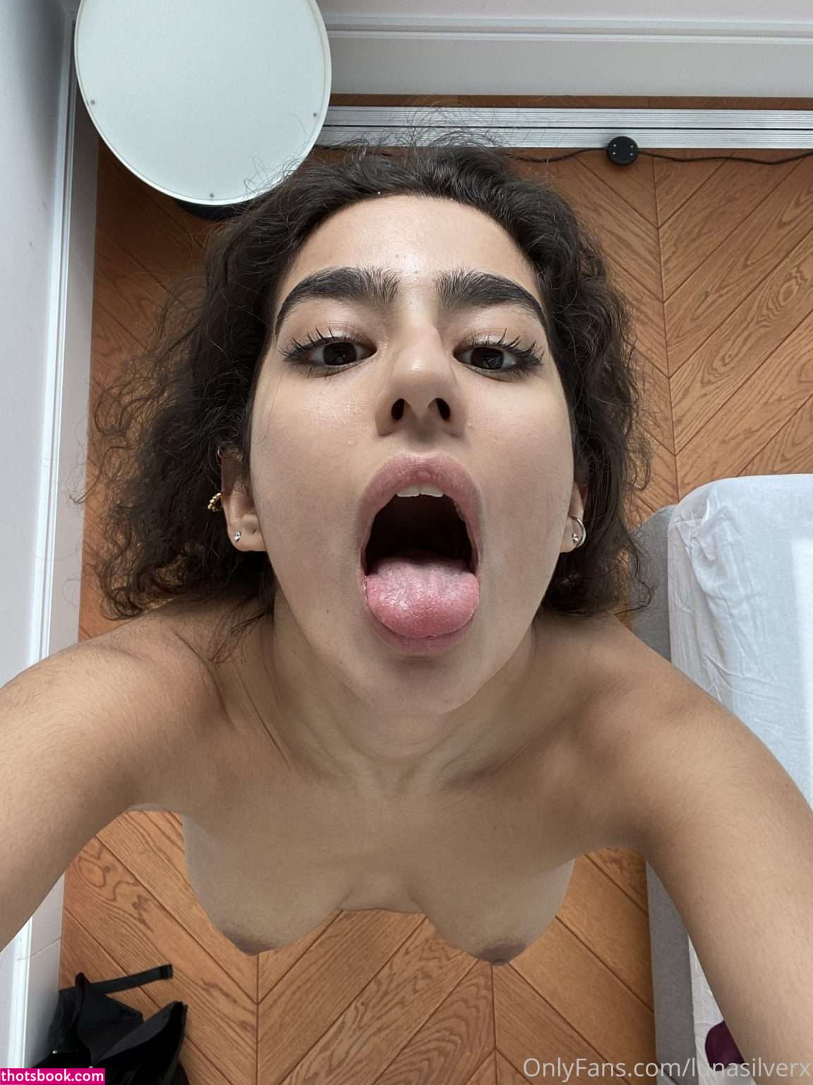 lunasilverx Aaeysha Nude OnlyFans Photos #5 506126