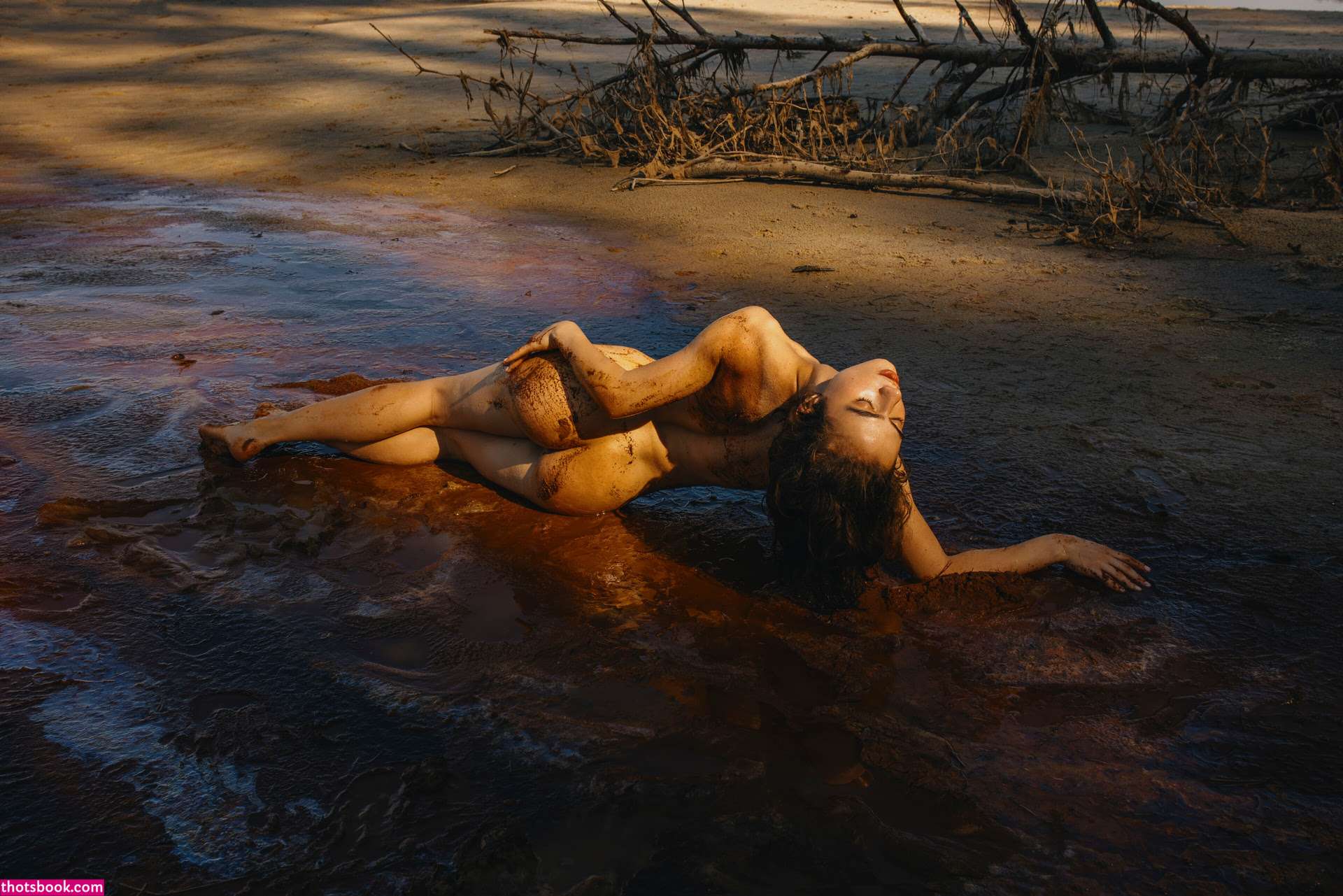 Solomia Maievska Nude OnlyFans Photos #2 508563