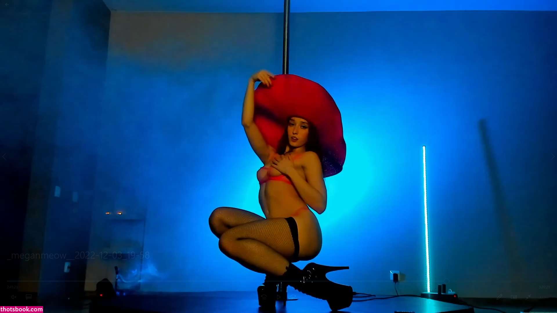 Meganmeow Nude OnlyFans Photos #4 494960