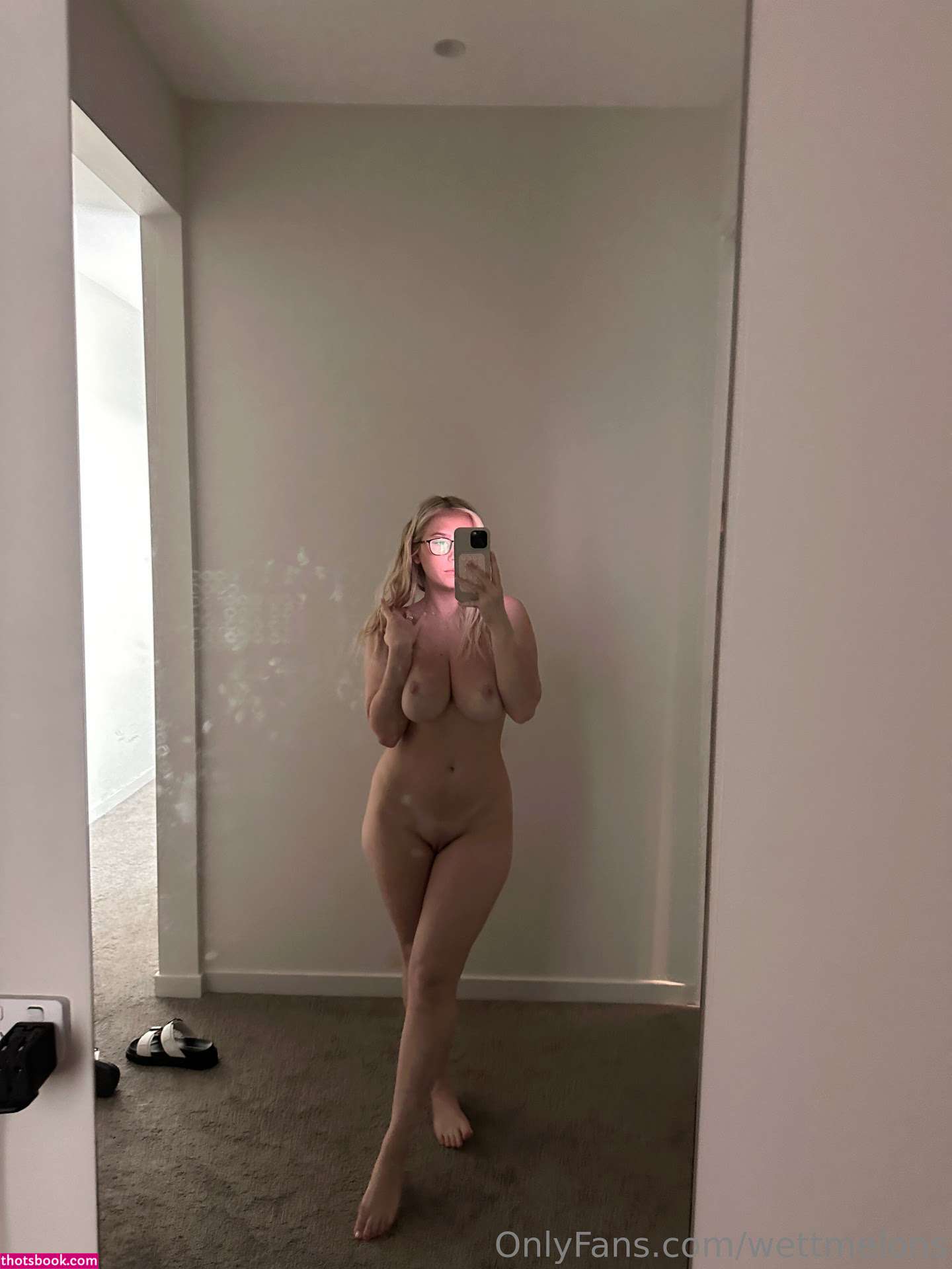 WettMelons Nude OnlyFans Photos #51 524555