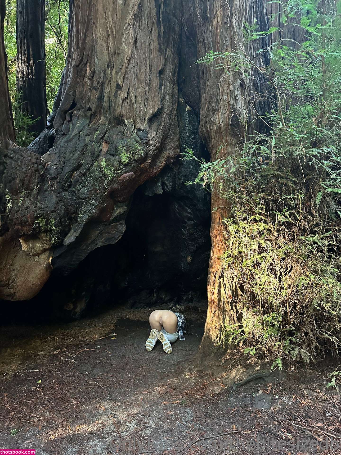 thebitesizedbitch Nude OnlyFans Photos #7 536949