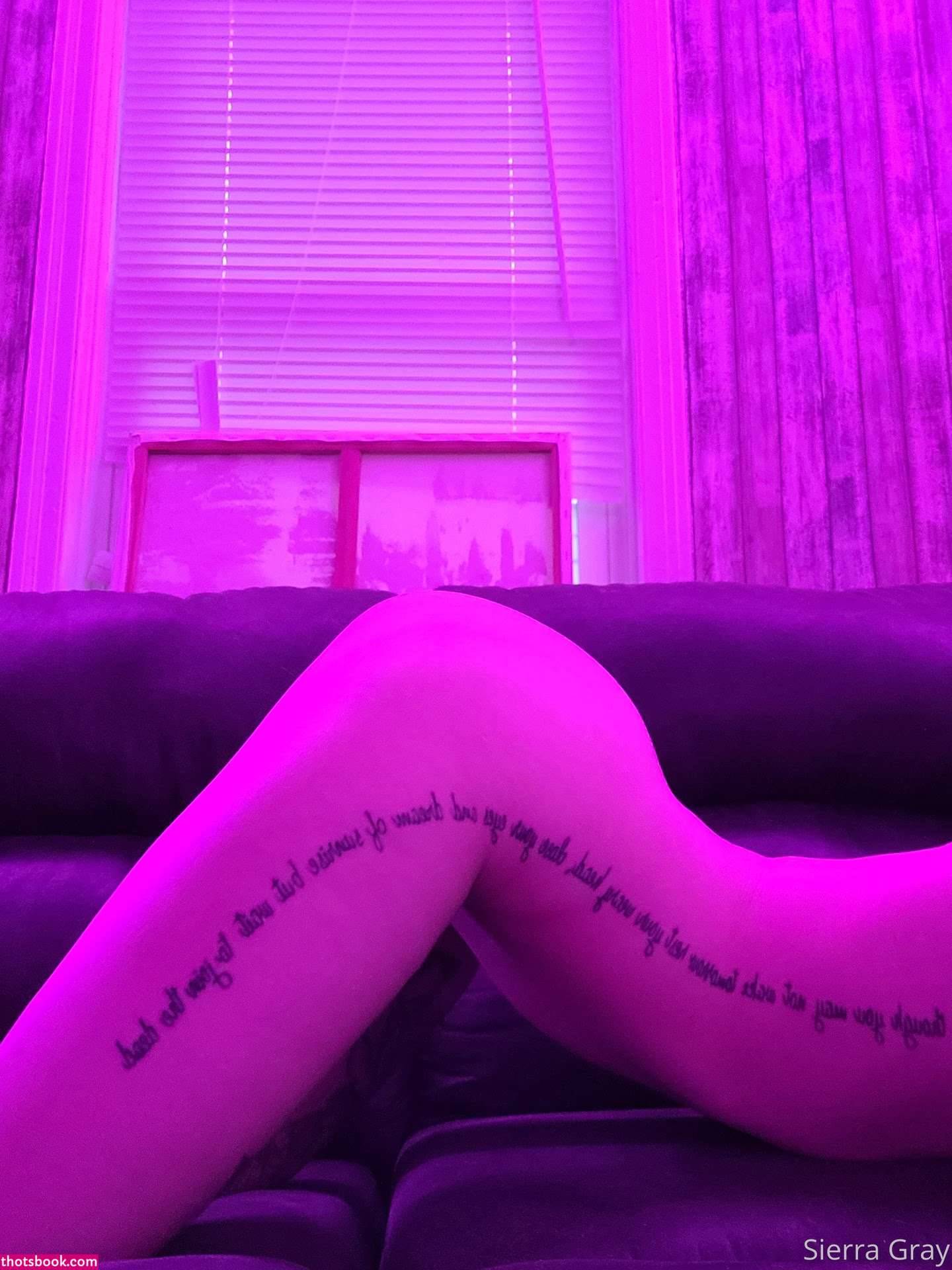 Sierra Gray bbsierrie seriouslybb Nude Leaks OnlyFans Photos #12 1335720