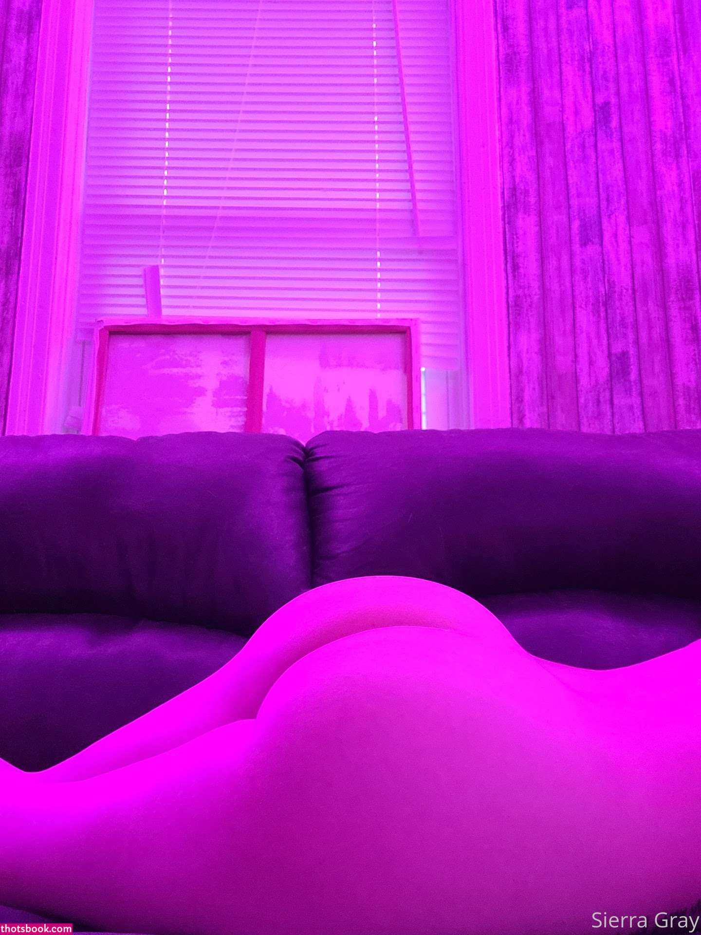 Sierra Gray bbsierrie seriouslybb Nude Leaks OnlyFans Photos #12 1335721