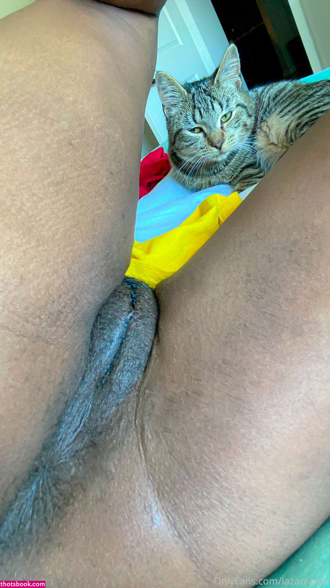 Lazaniazee Nude Leaks OnlyFans Photos #9 1366800