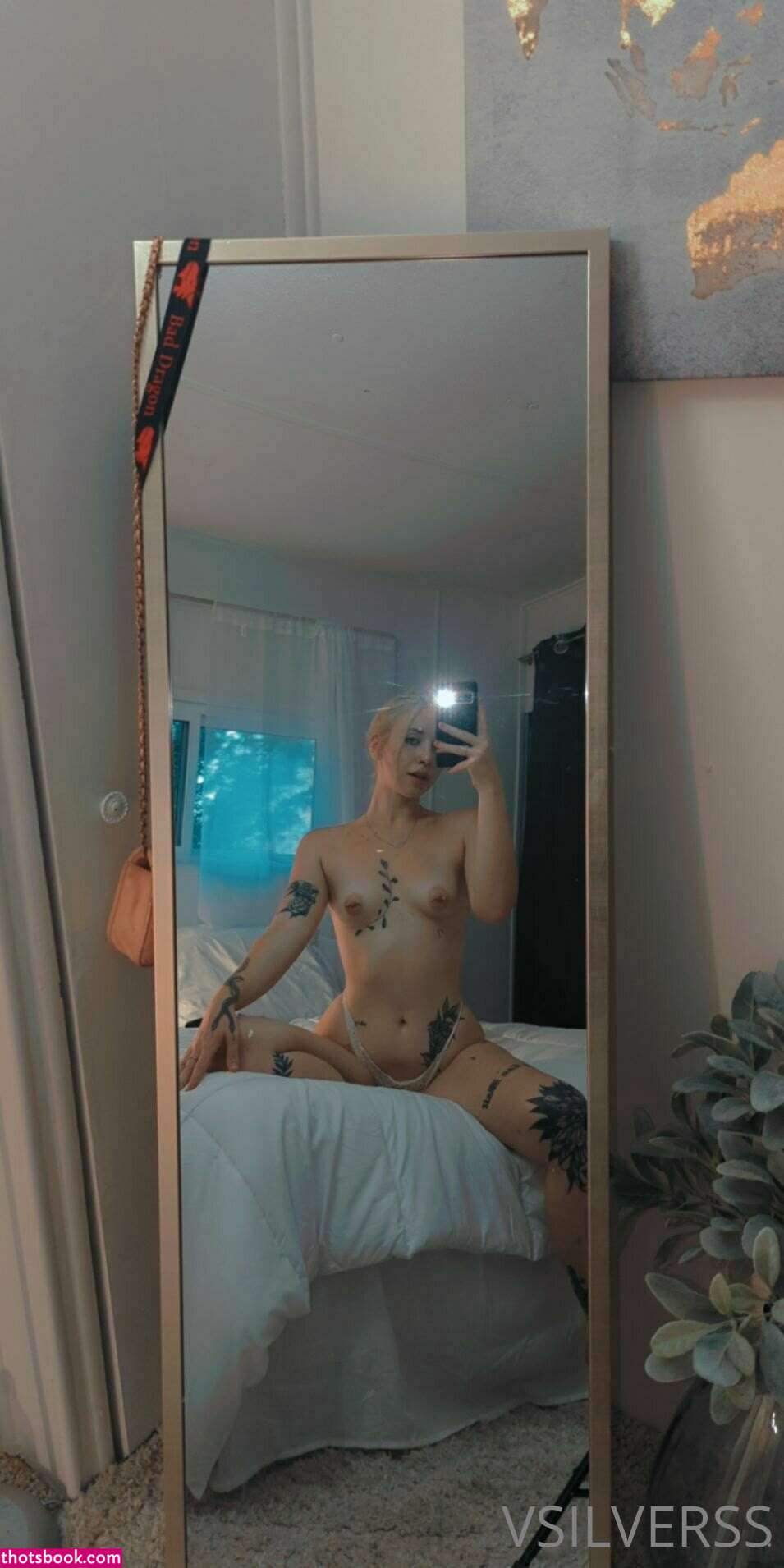 vsilverss Nude Leaks OnlyFans Photos #11 1342370