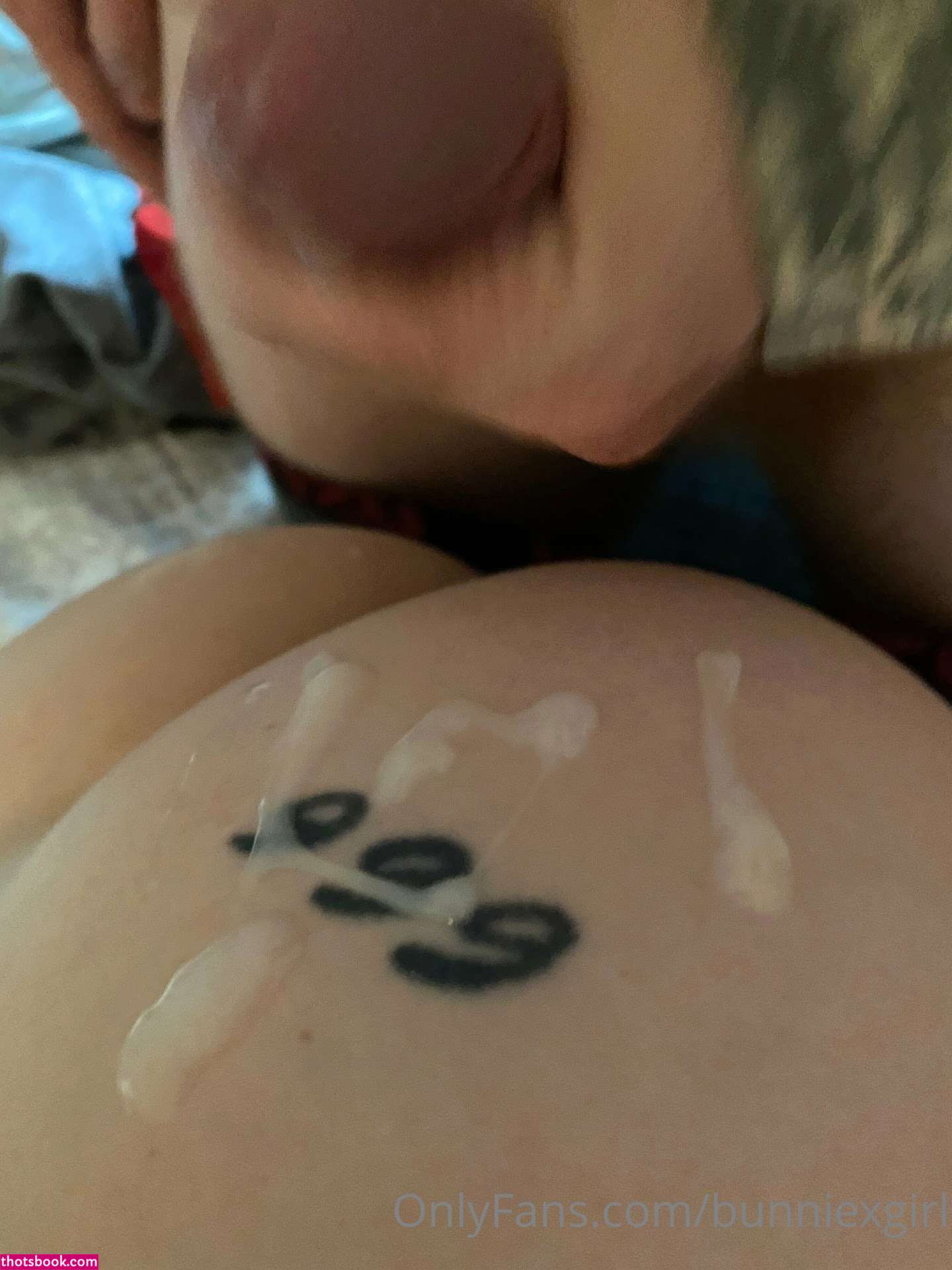 bunniexgirl spottedsexkitten Nude Leaks OnlyFans Photos #15 1342567