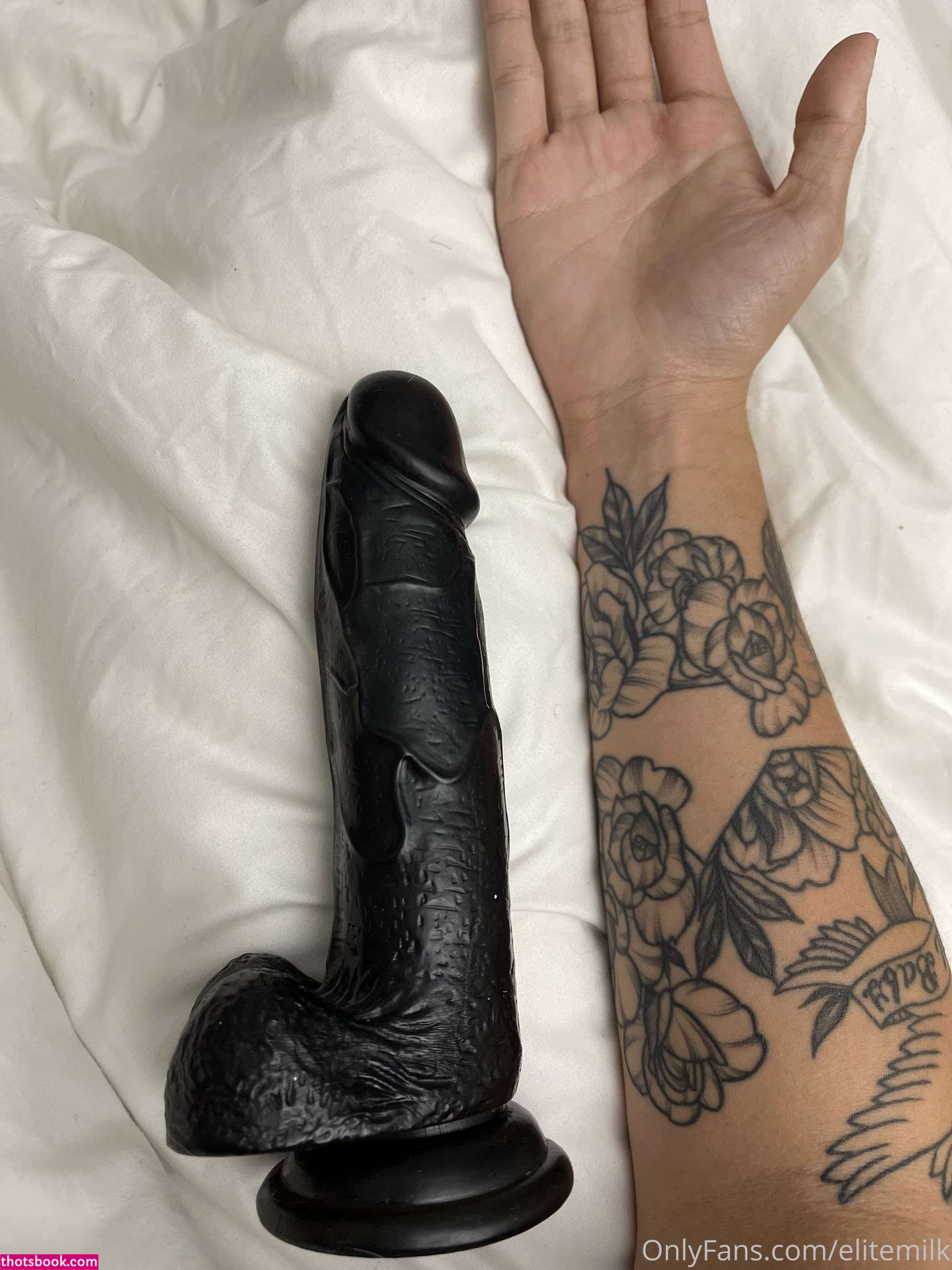 EliteMilk Nude Leaks OnlyFans Photos #7 1390675