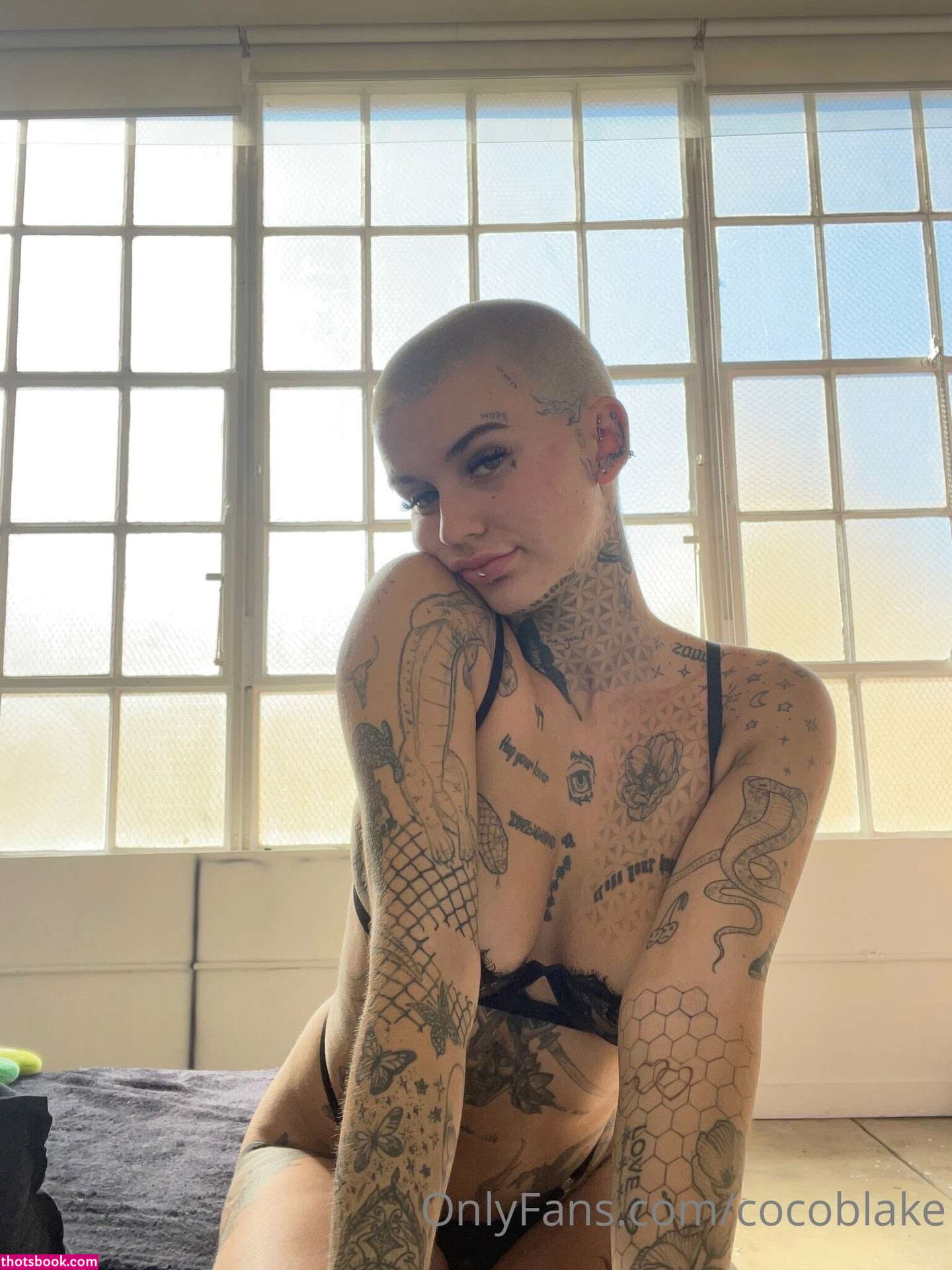 Coco Blake Nude Leaks OnlyFans Photos #3 1391847