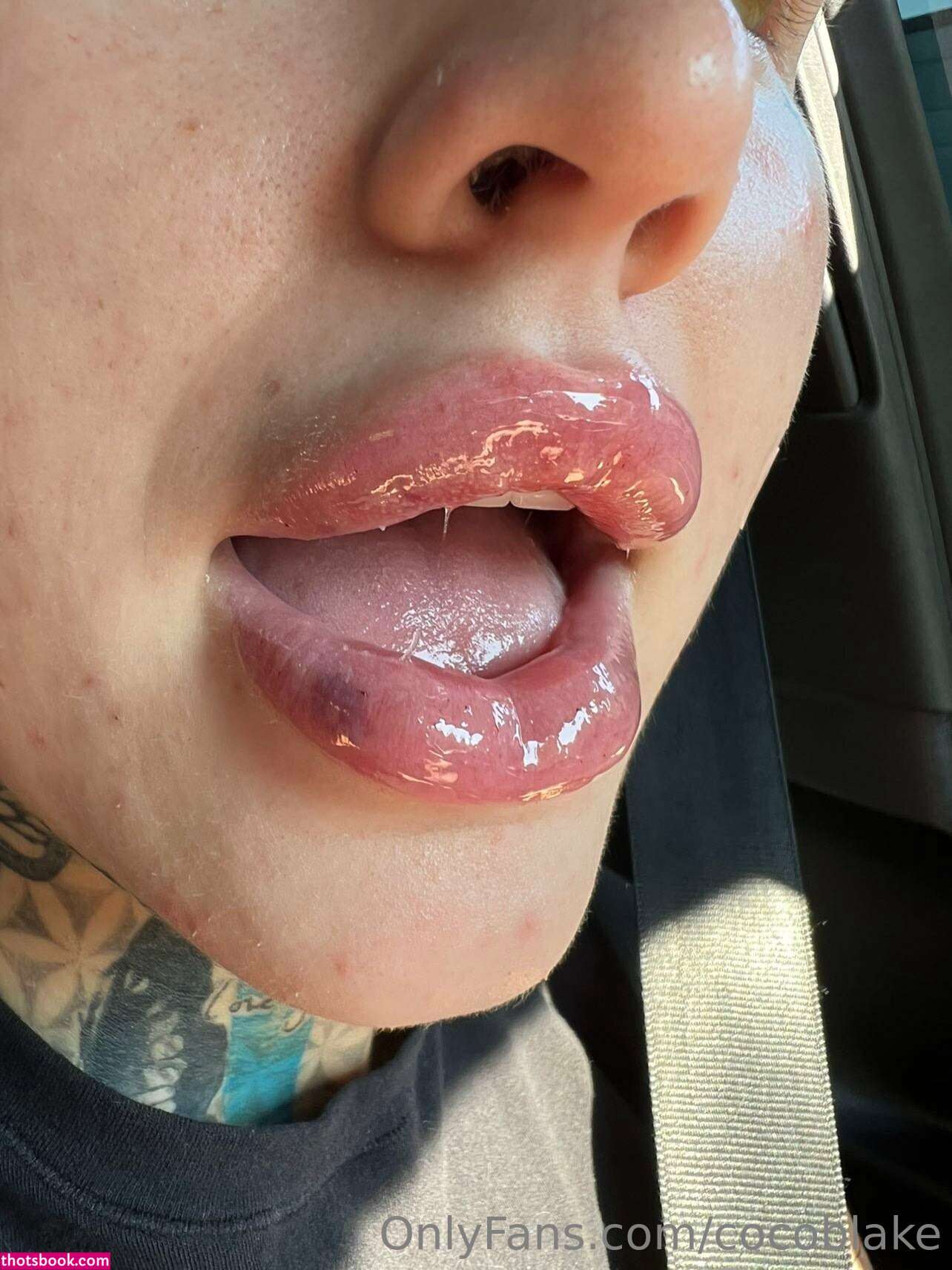 Coco Blake Nude Leaks OnlyFans Photos #3 1391848