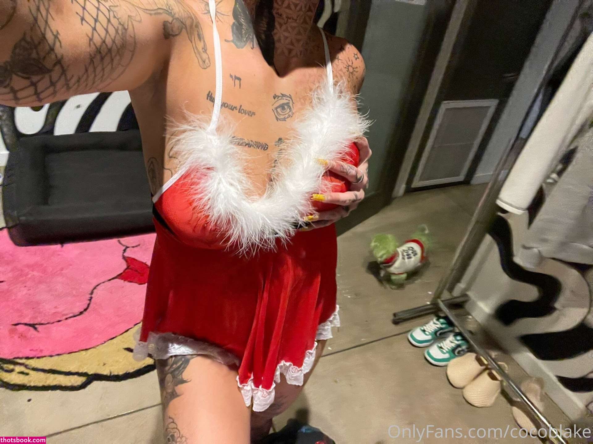 Coco Blake Nude Leaks OnlyFans Photos #6 1393034