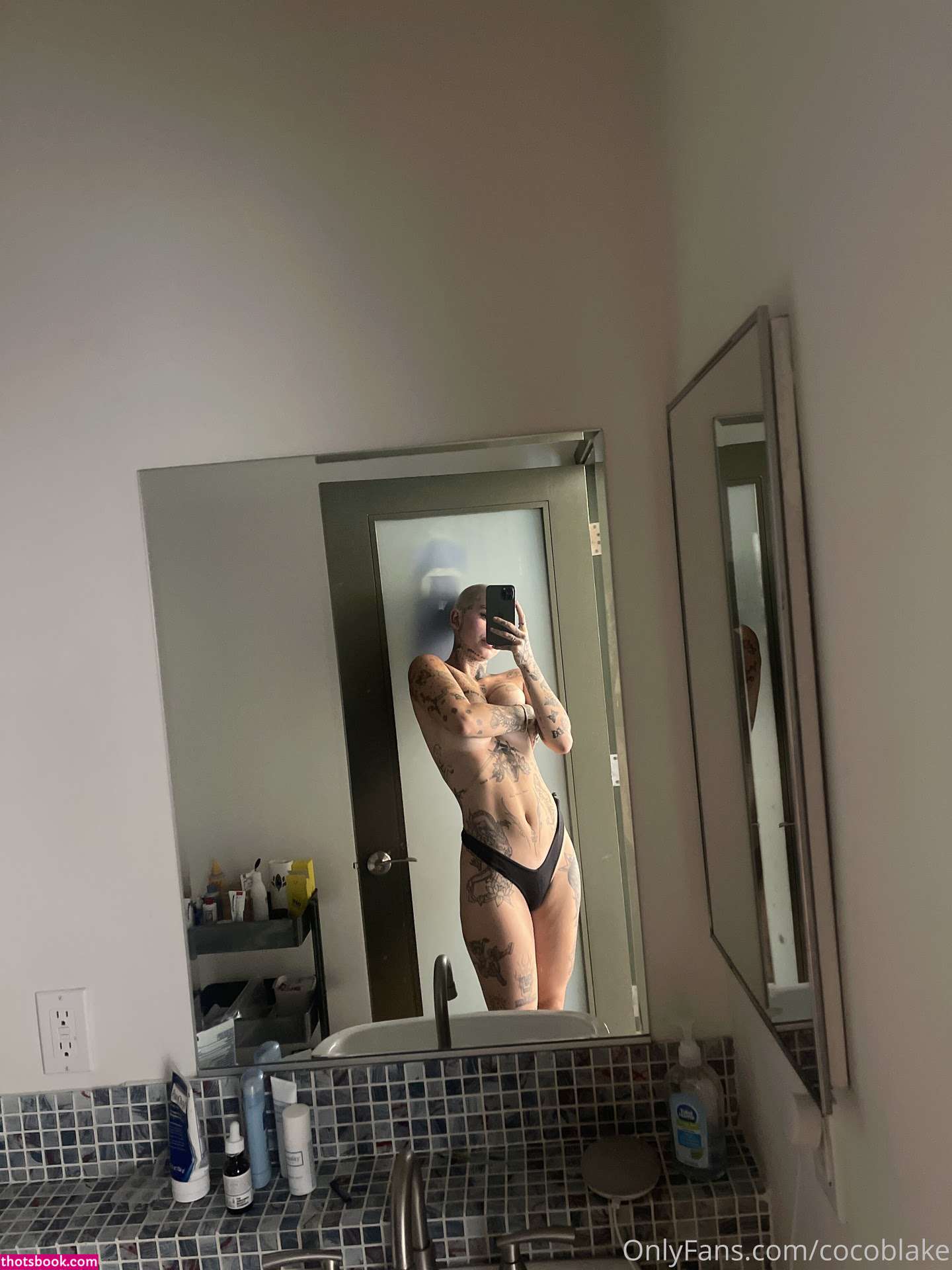 Coco Blake Nude Leaks OnlyFans Photos #8 1393050