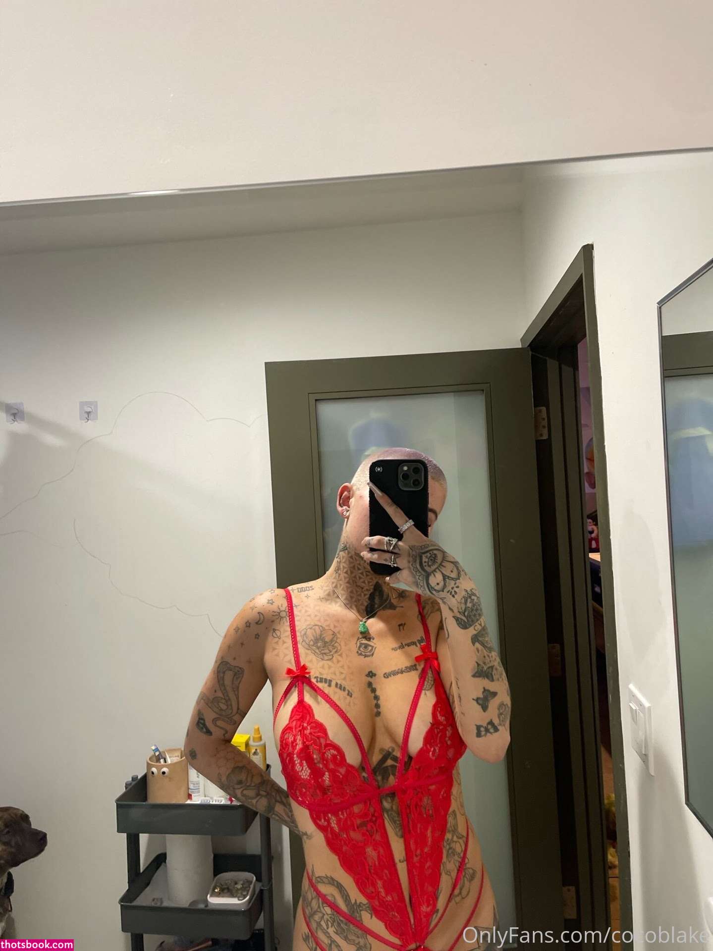 Coco Blake Nude Leaks OnlyFans Photos #9 1393052