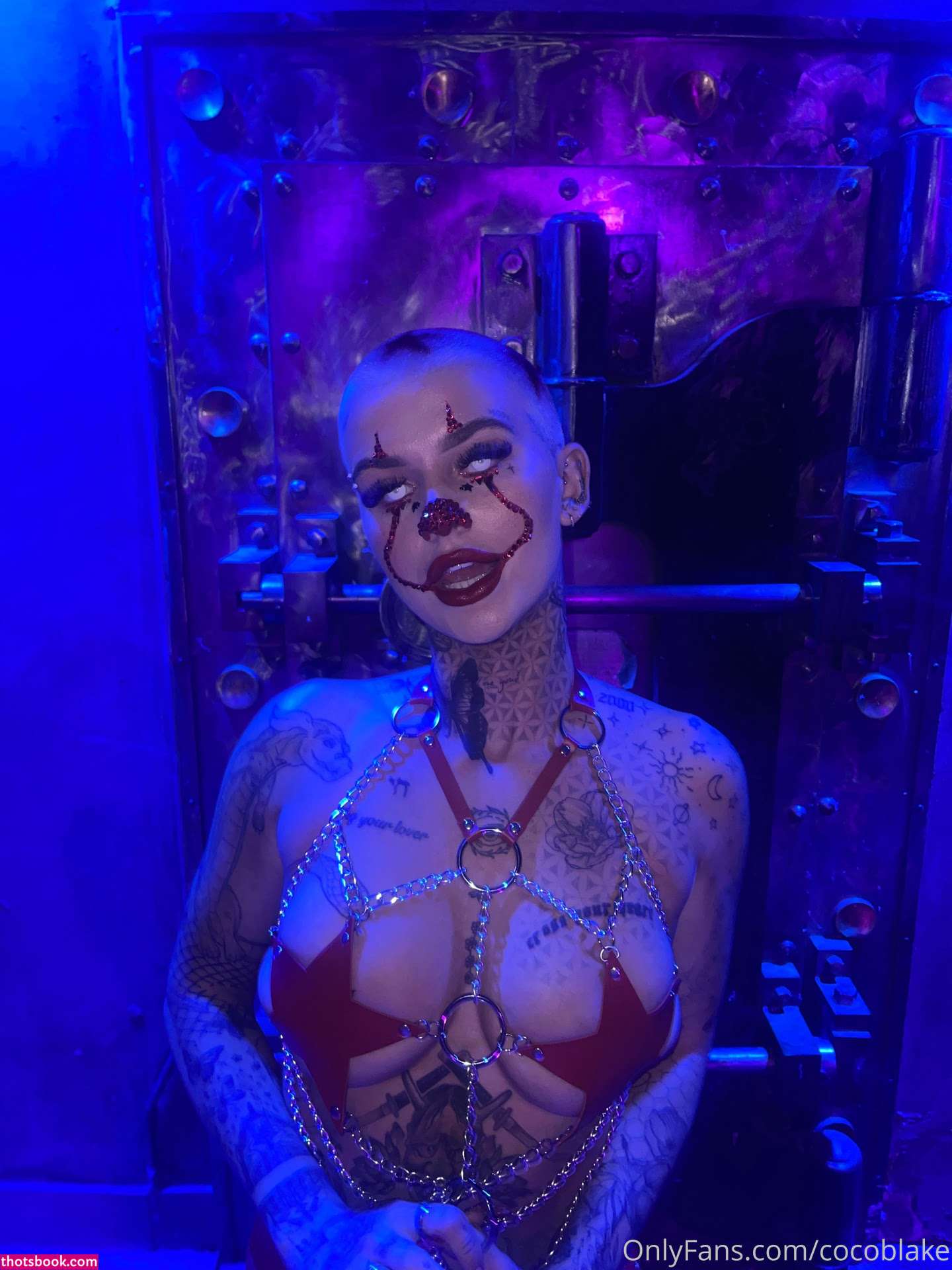 Coco Blake Nude Leaks OnlyFans Photos #10 1393071