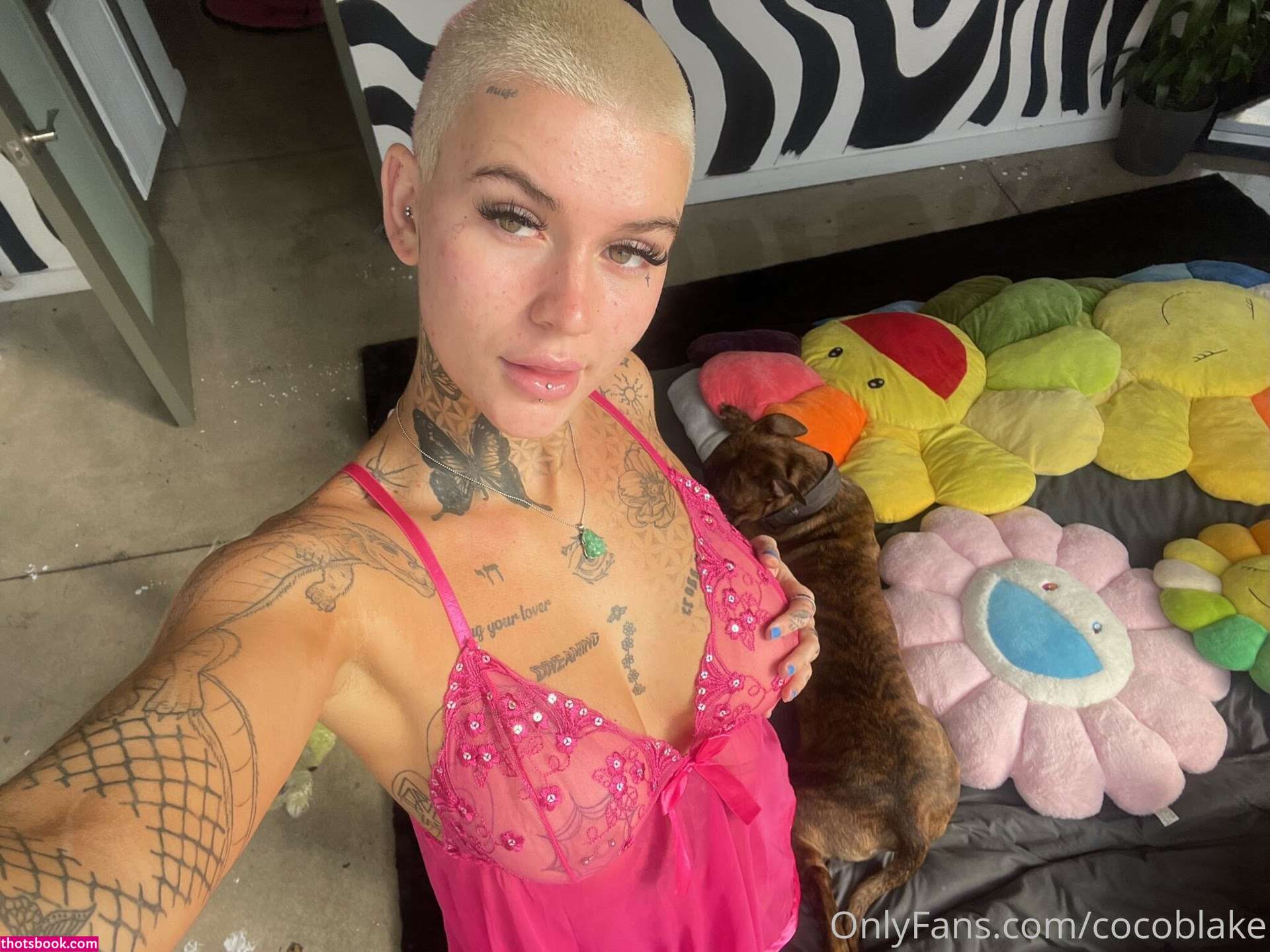 Coco Blake Nude Leaks OnlyFans Photos #10 1393072