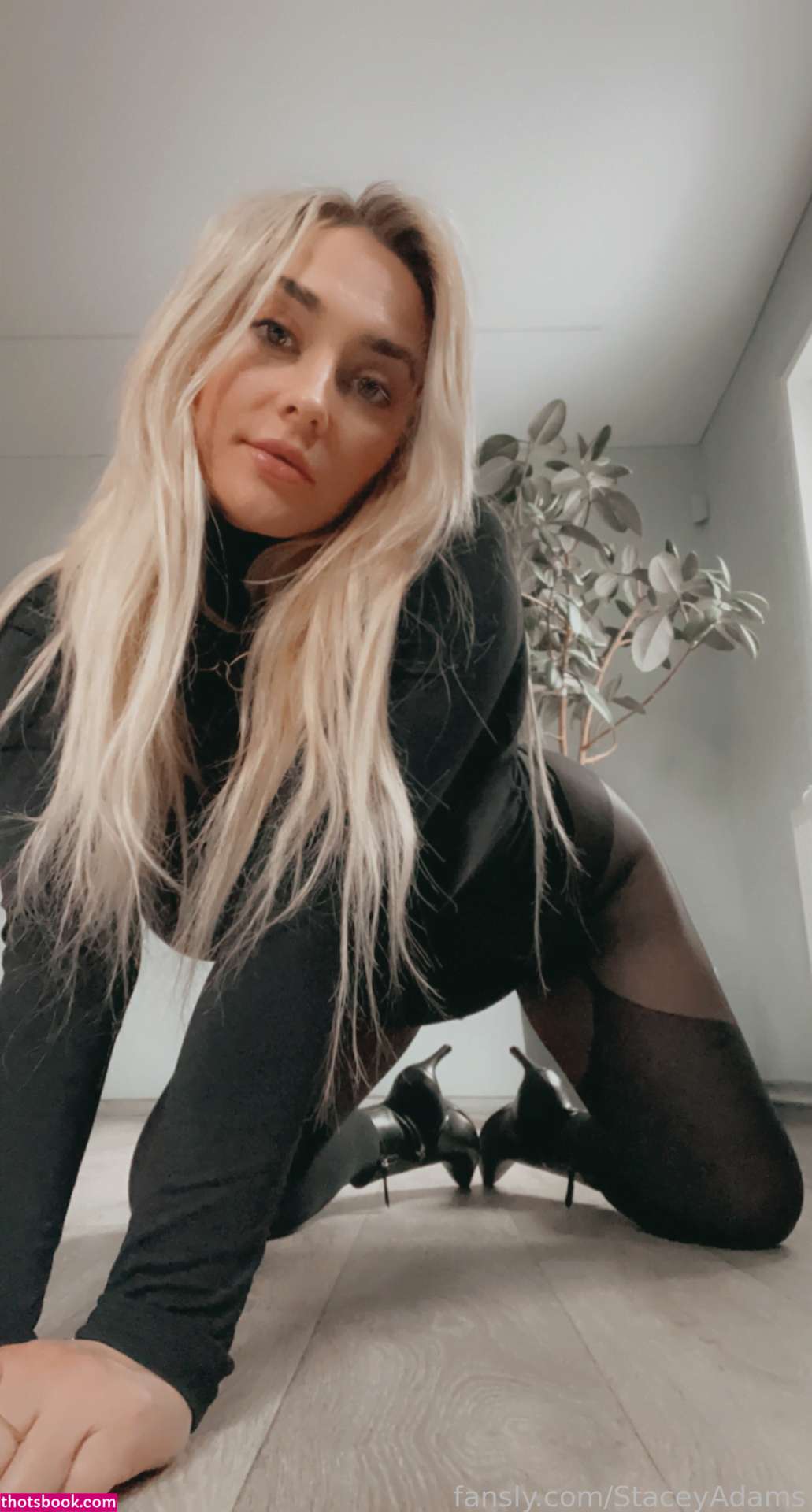 StaceyAdams Nude Leaks OnlyFans Photos #9 1393962