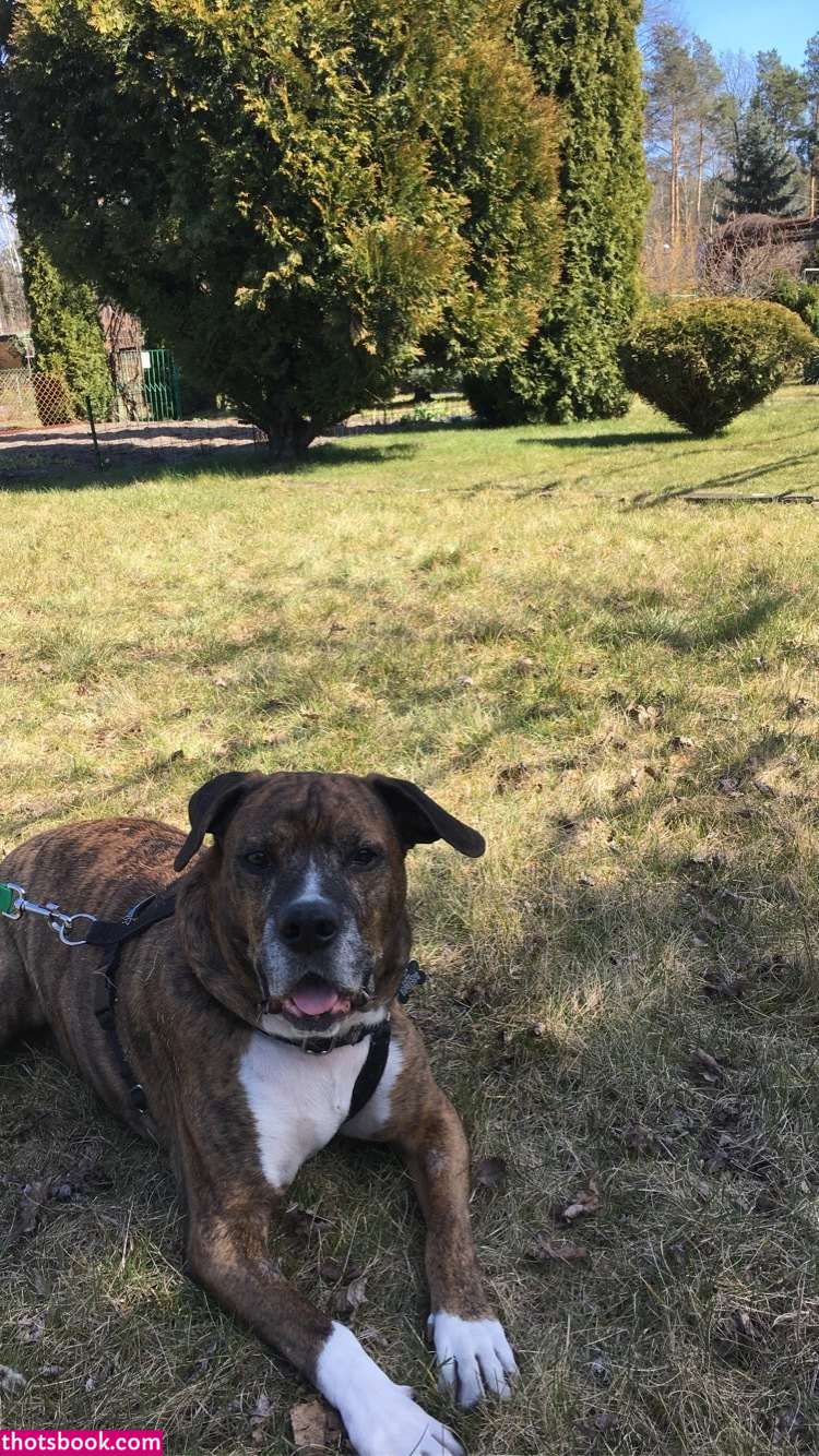 mirbee mirella mirbeemfc Nude Leaks OnlyFans Photos #3 1336258