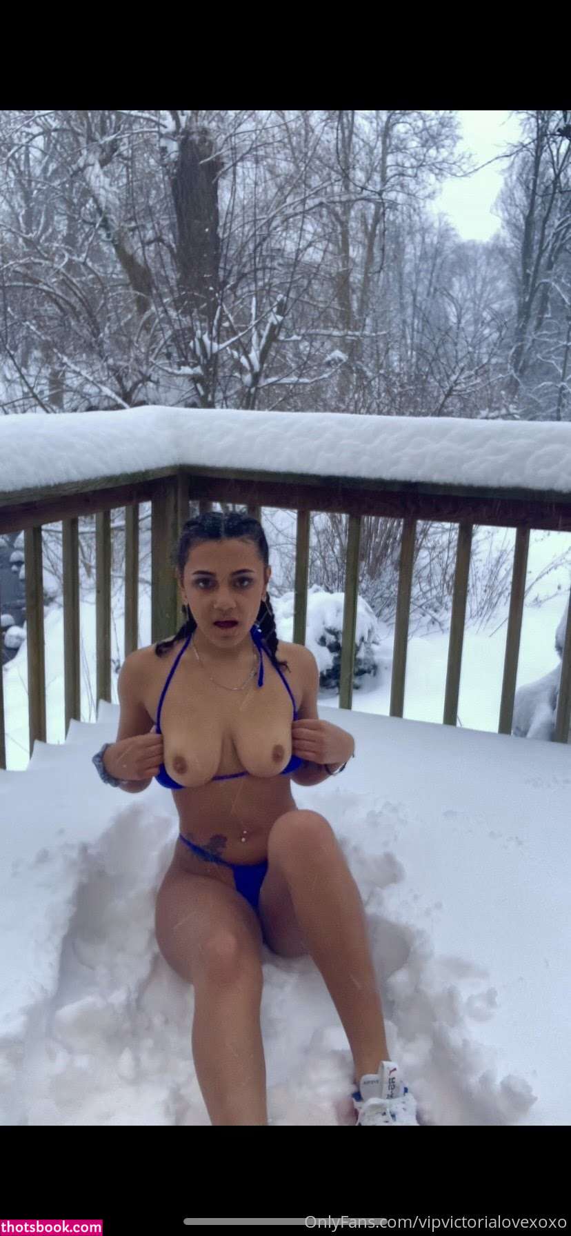 victorialovexoxo Victoria Vixen Nude Leaks OnlyFans Photos #12 1353356