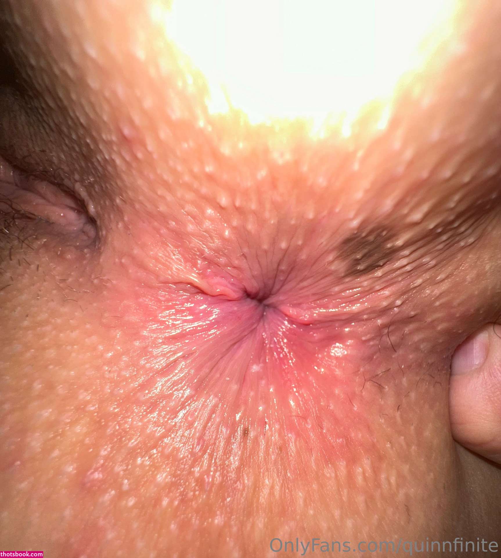 Quinn Finite Charlee Nude Leaks OnlyFans Photos #25 1369394