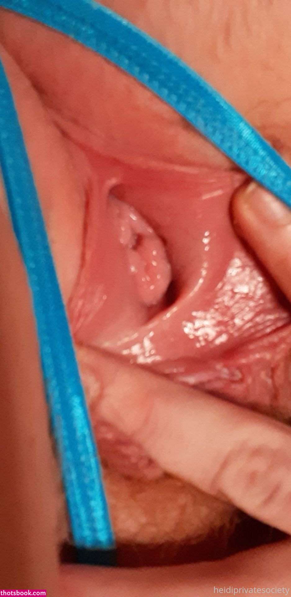 Heidiprivatesociety Nude Leaks OnlyFans Photos #14 1355237