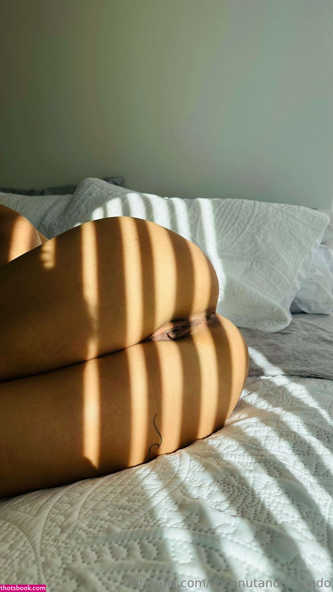 CoconutandAvocado c0c0nutandavocad0 Nude Leaks OnlyFans Photos #9 1333096