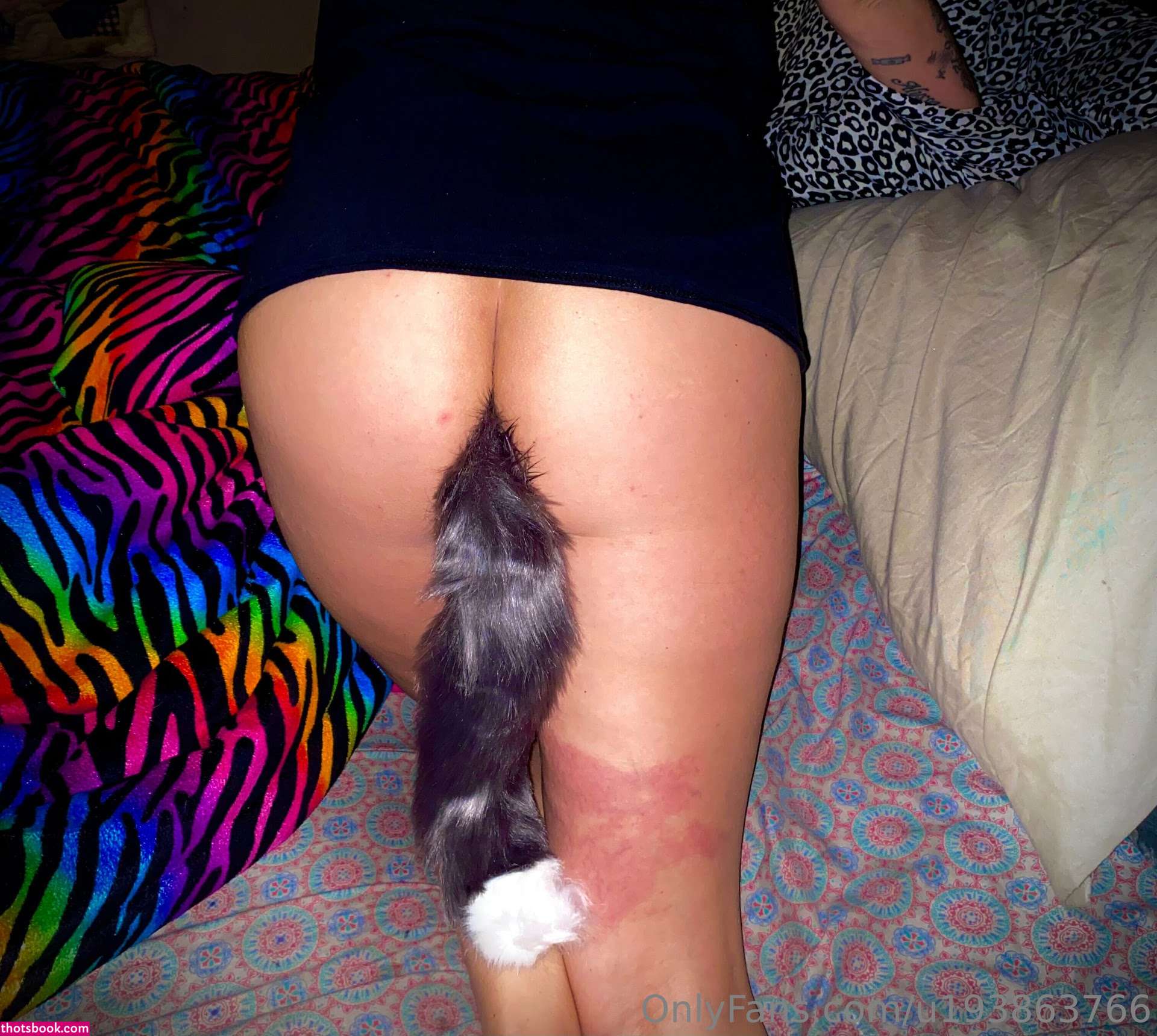 Race babe31 nicolethedirttracktrophygirl Nude Leaks OnlyFans Photos #2 1362910