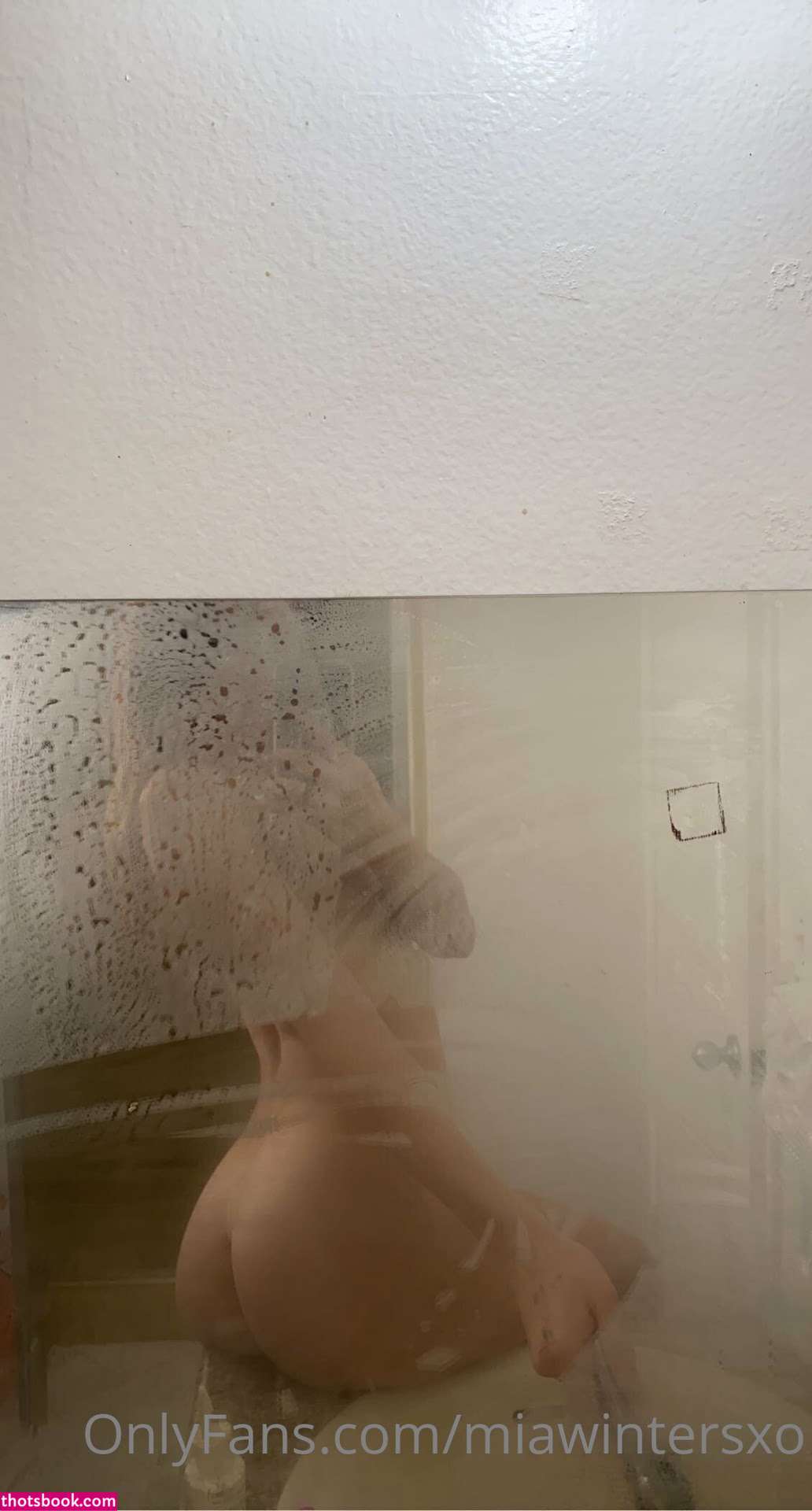 miawintersxo Nude Leaks OnlyFans Photos #5 1382423