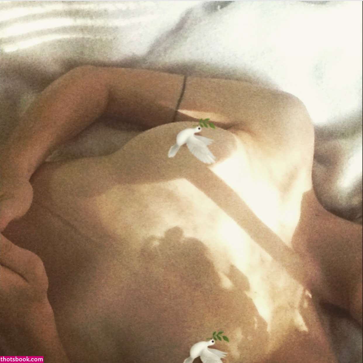 Mitaya mitayawav Thaassman asscowboy kristawilliamson Nude Leaks OnlyFans Photos #6 1400732