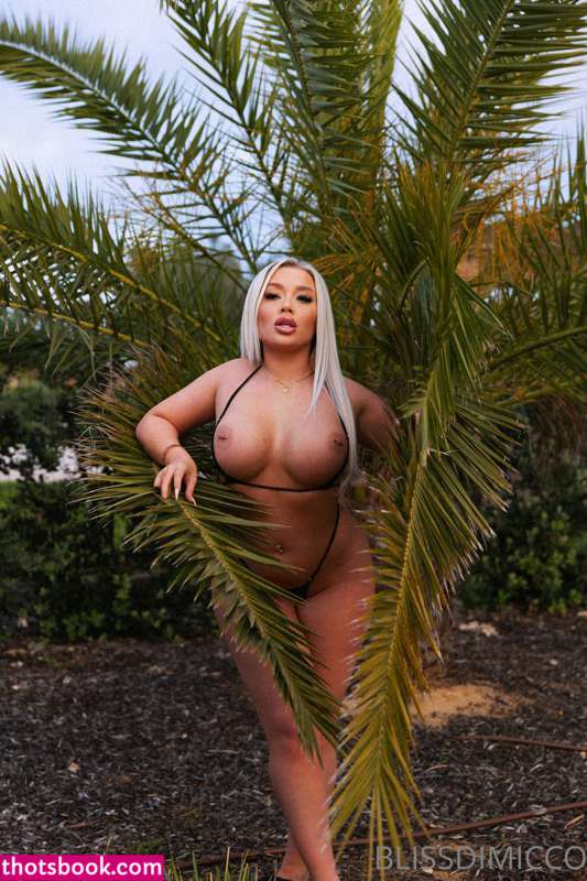 Bliss Dimicco Babestation Nude Leaks OnlyFans Photos #9 1357230
