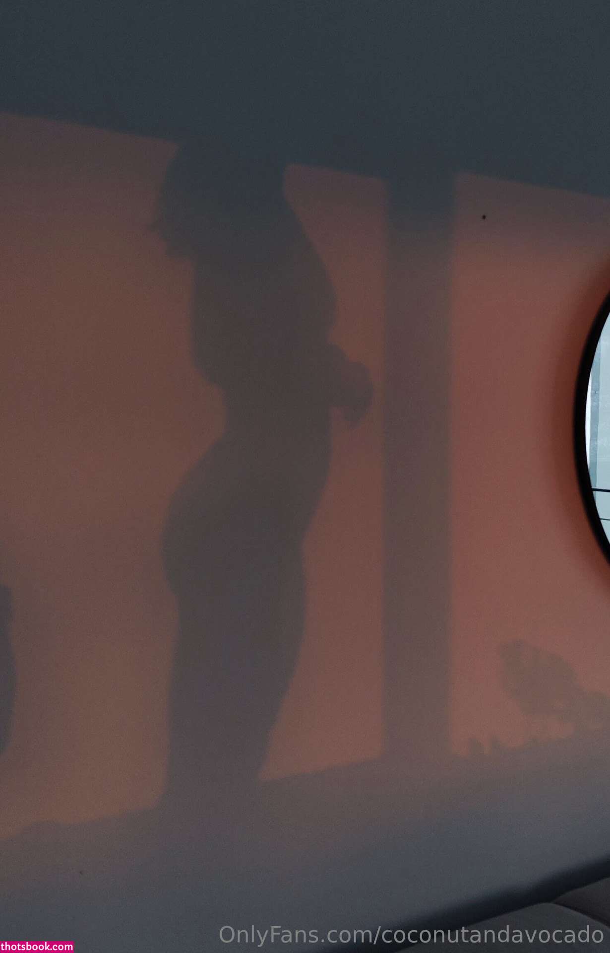 CoconutandAvocado c0c0nutandavocad0 Nude Leaks OnlyFans Photos #3 1332079
