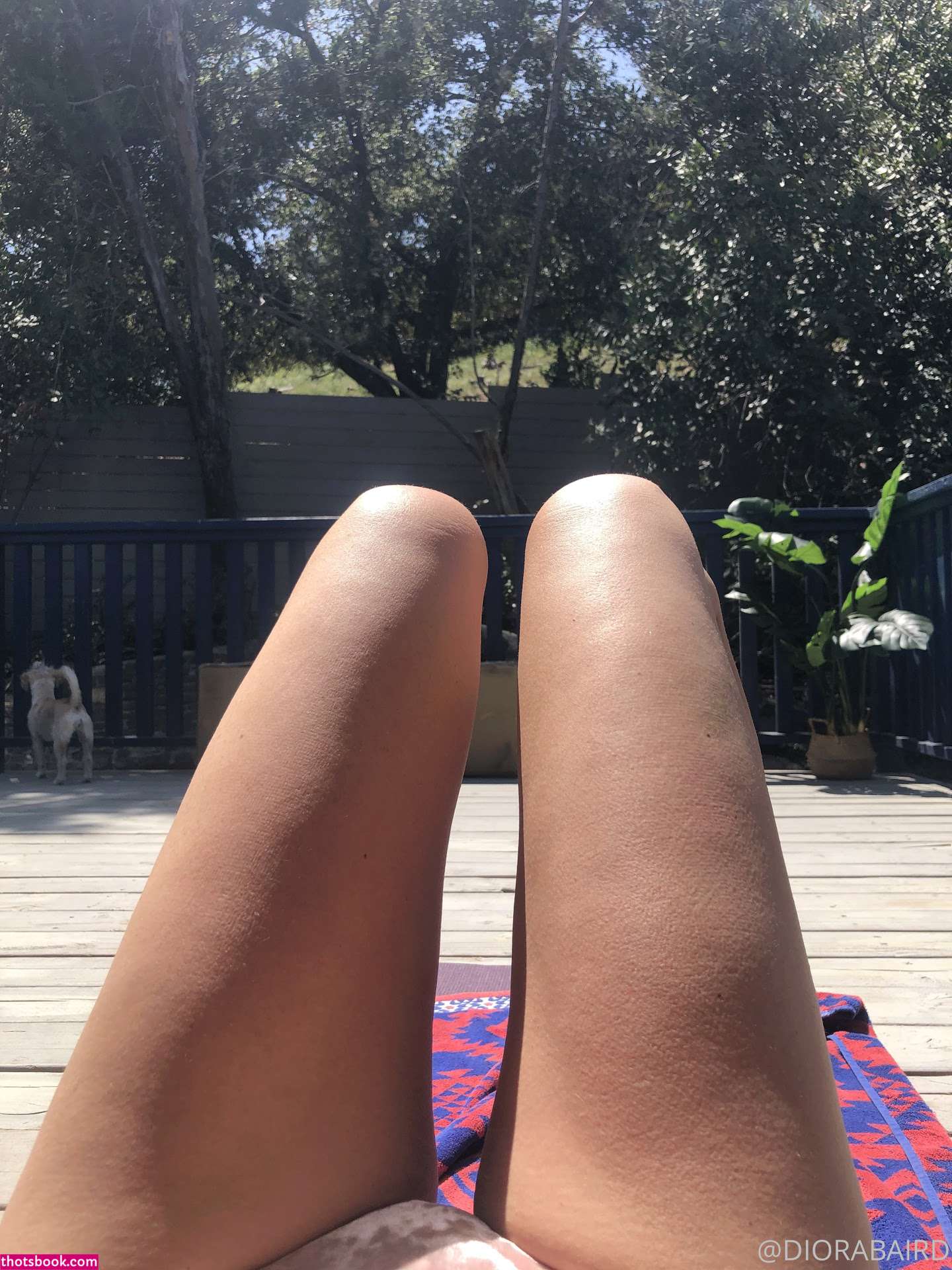 Diora Baird Nude Leaks OnlyFans Photos #74 1347059