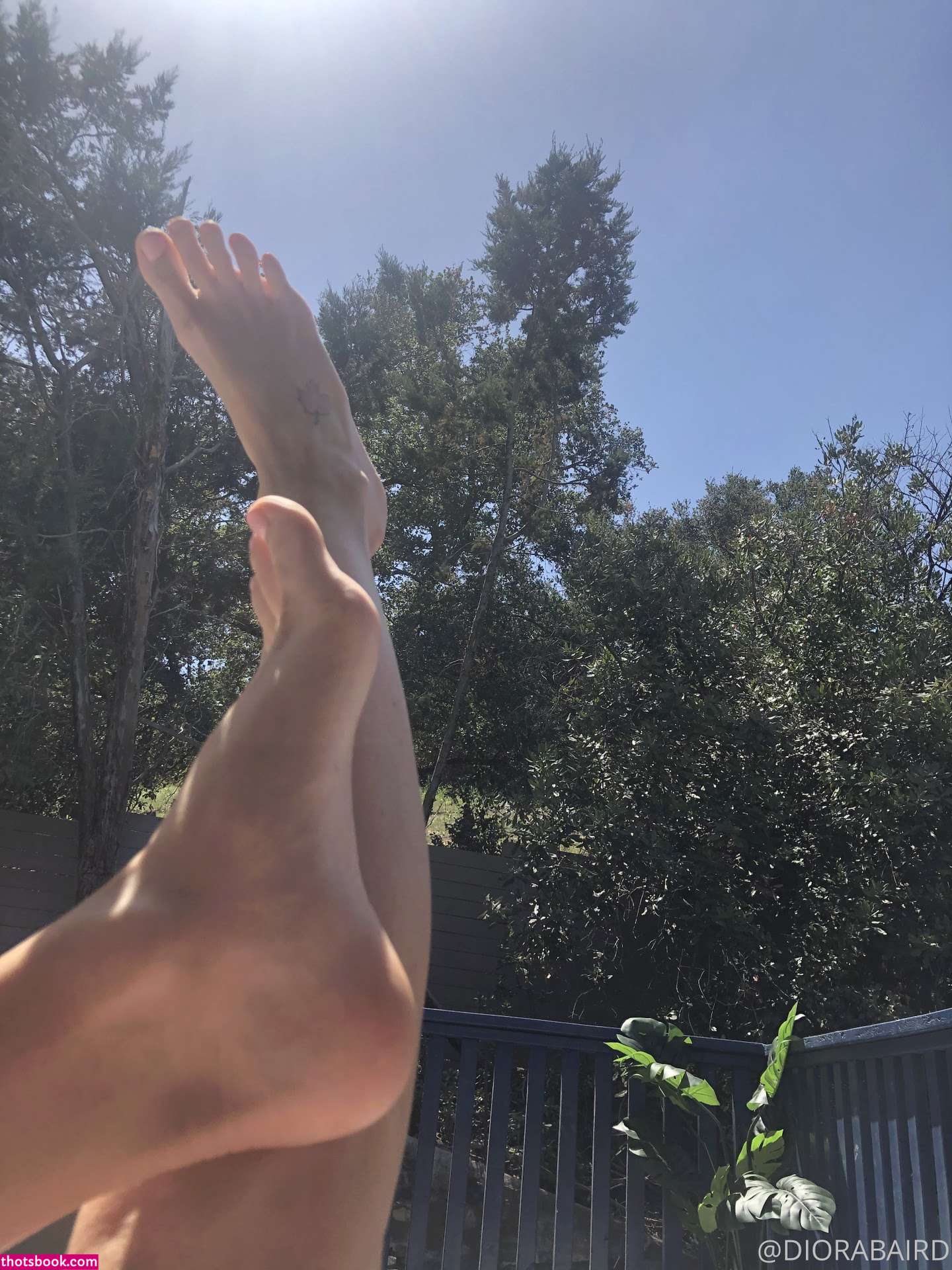 Diora Baird Nude Leaks OnlyFans Photos #74 1347071