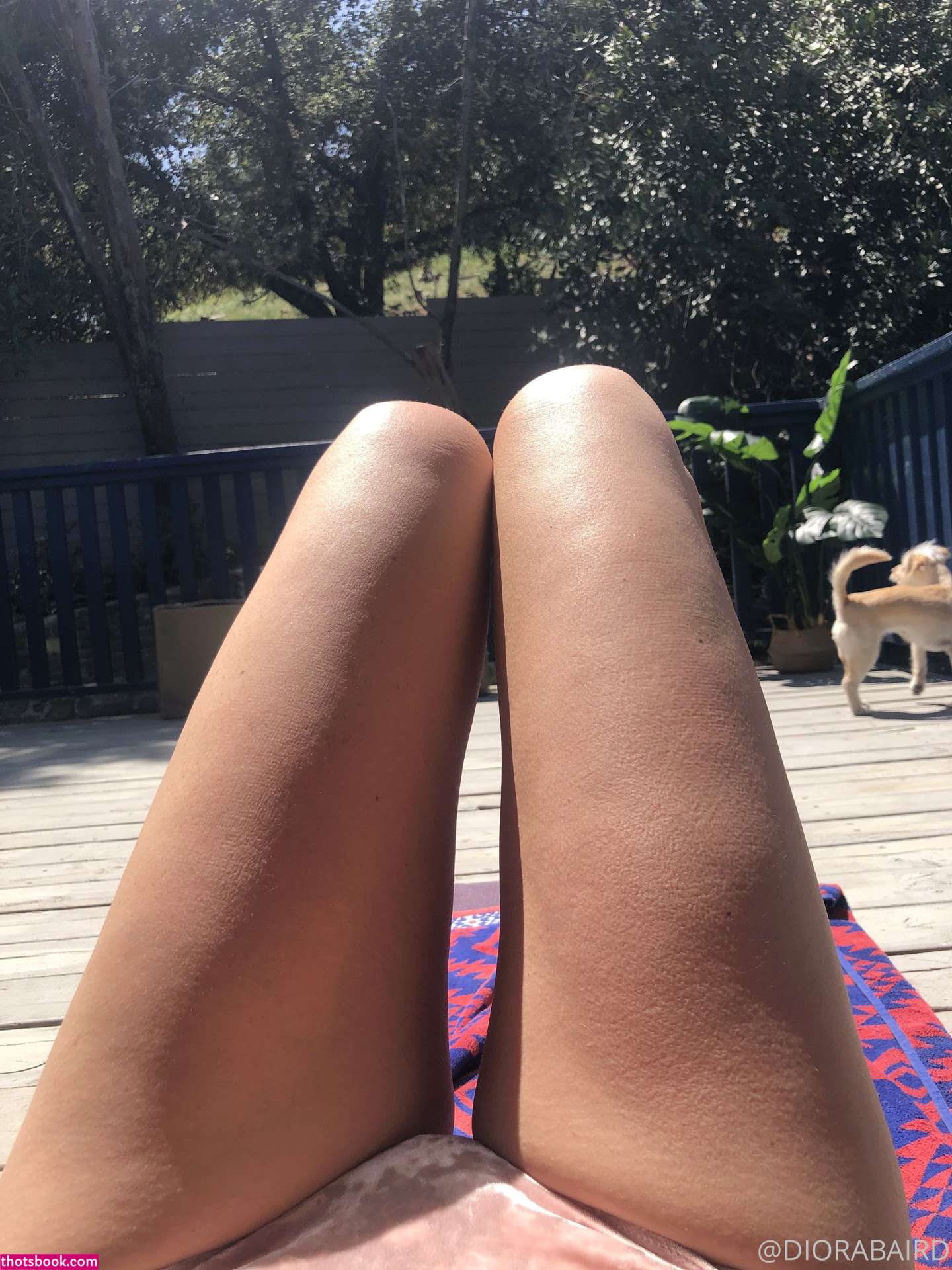 Diora Baird Nude Leaks OnlyFans Photos #74 1347077