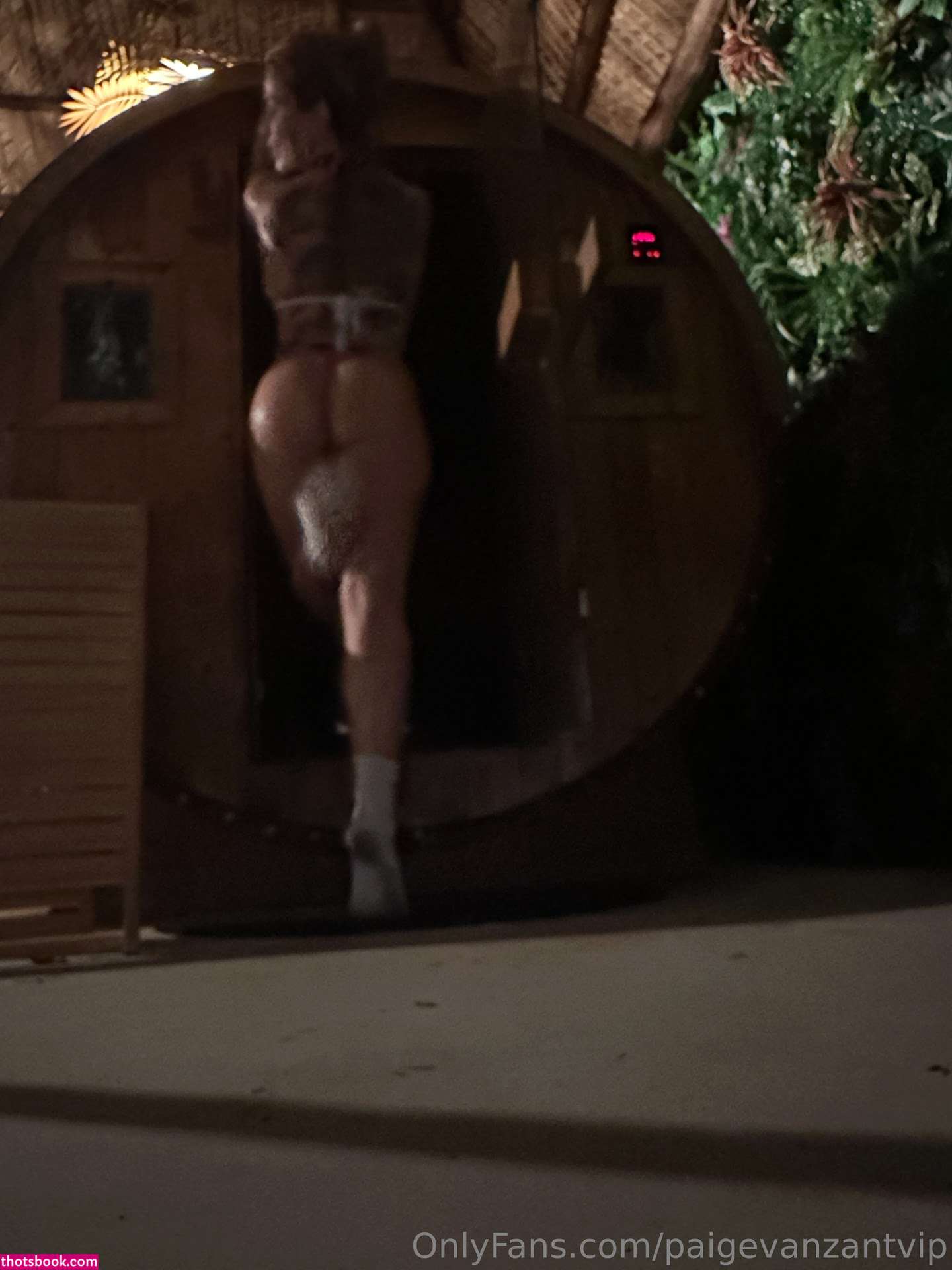 Paige Vanzant Nude Leaks OnlyFans Photos #163 1347700