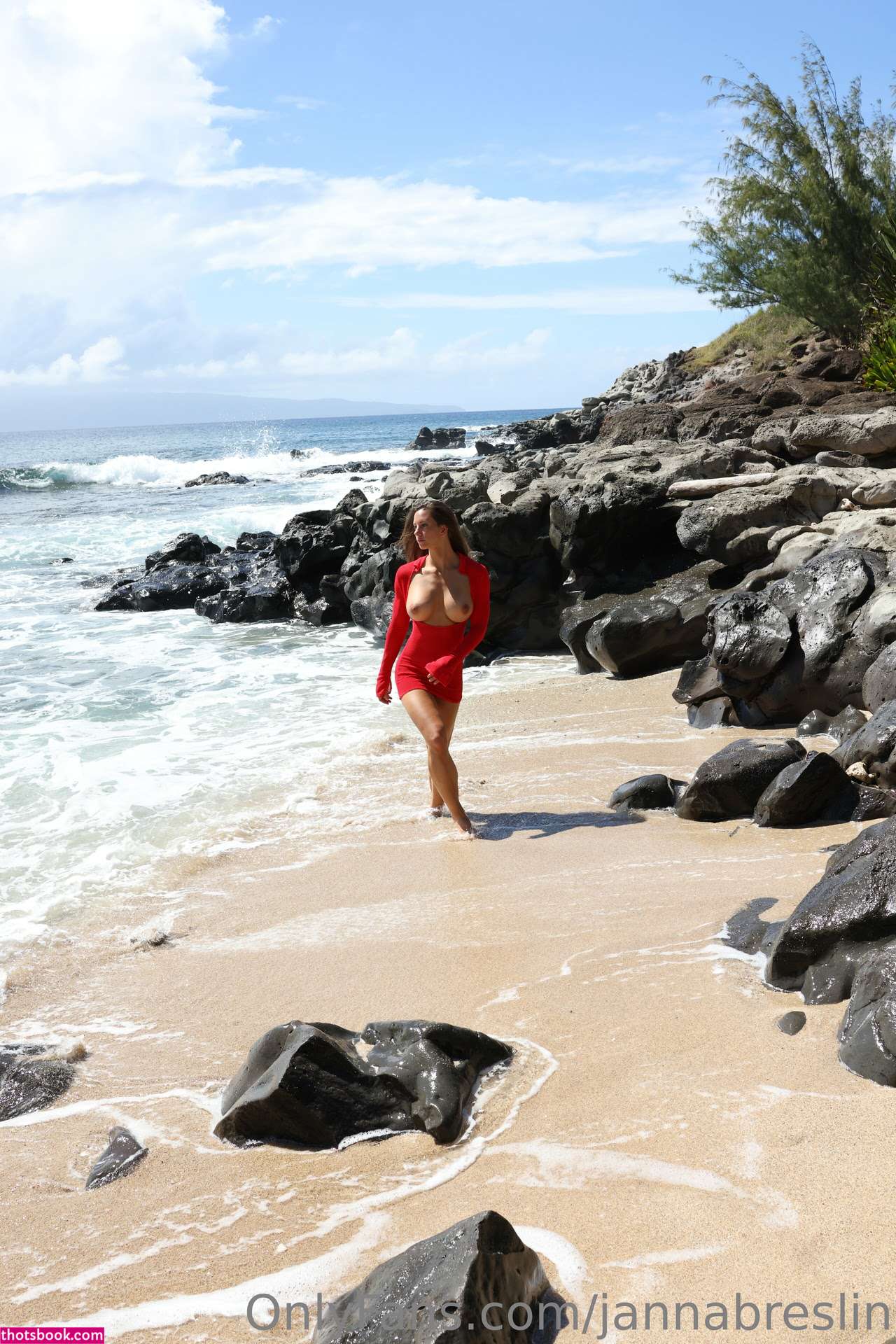 Janna Breslin Nude Leaks OnlyFans Photos #68 1362132