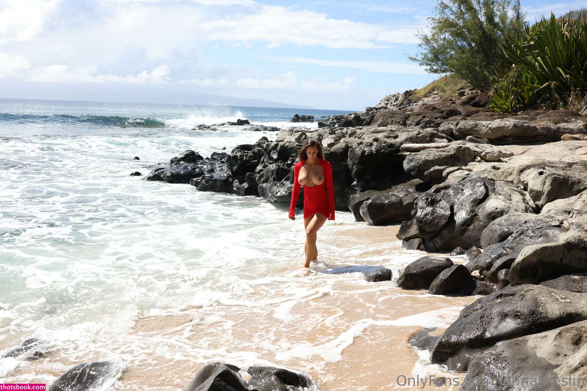 Janna Breslin Nude Leaks OnlyFans Photos #68 1362150