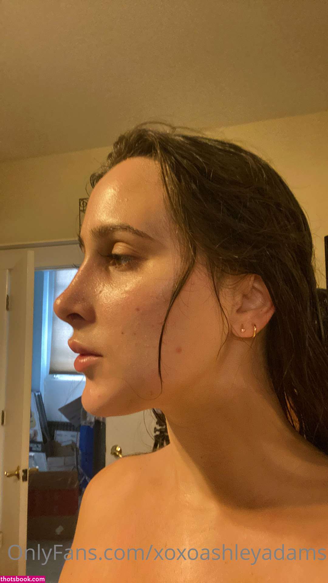 Ashley Adams Nude Leaks OnlyFans Photos #9 1398040