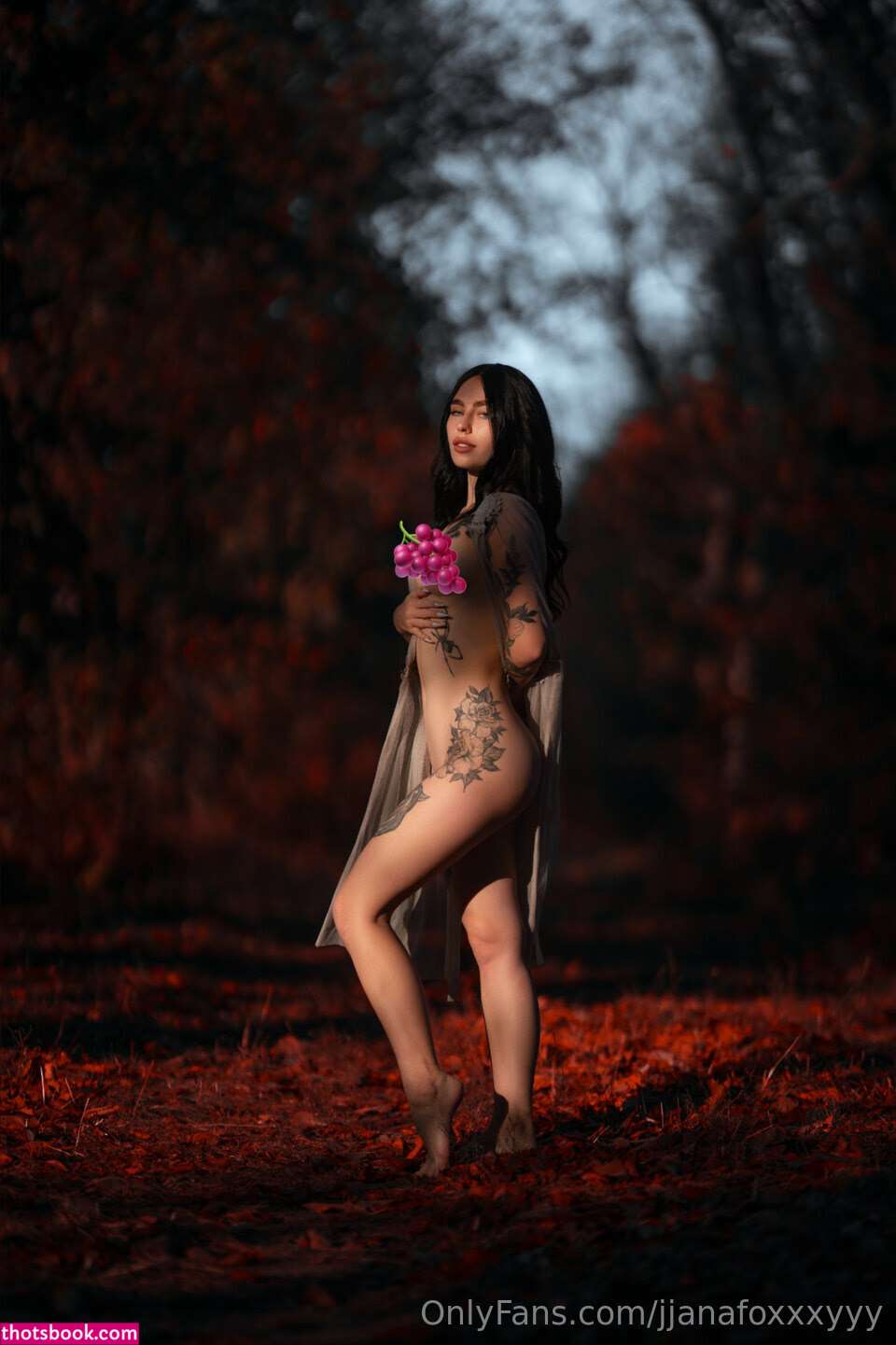 Janafoxxxy yanafoxyfree yana foxy Nude Leaks OnlyFans Photos #2 1893803