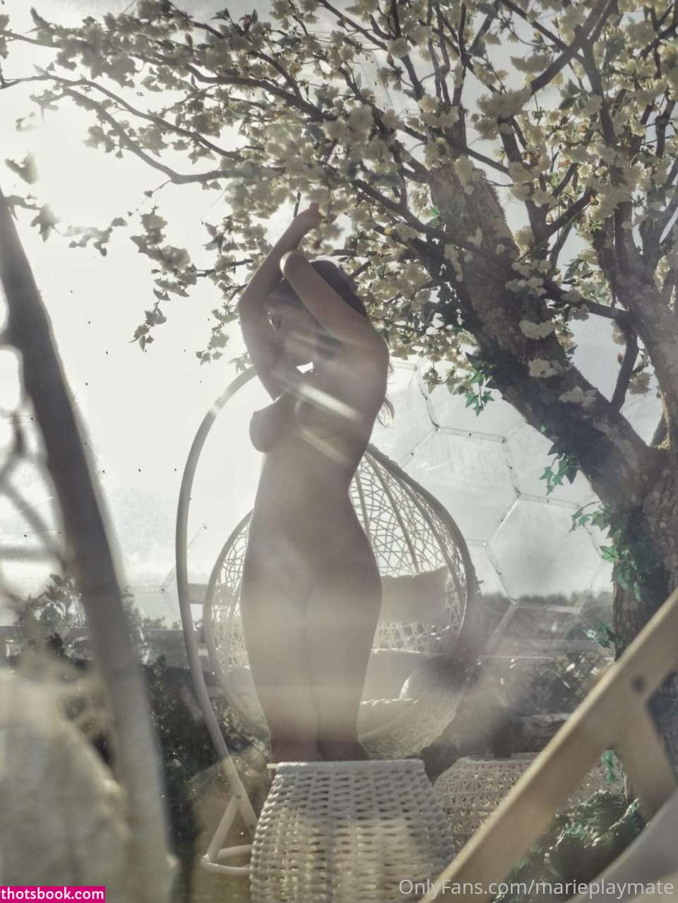 Marieplaymate OnlyFans Photos #7 223969