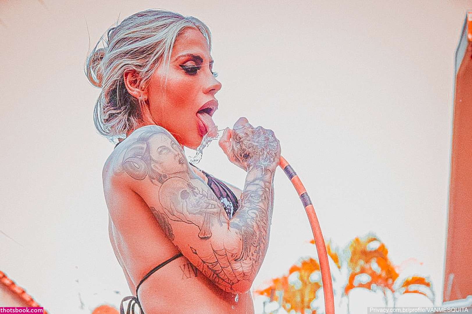 Vanessa Mesquita OnlyFans Photos #4 234506