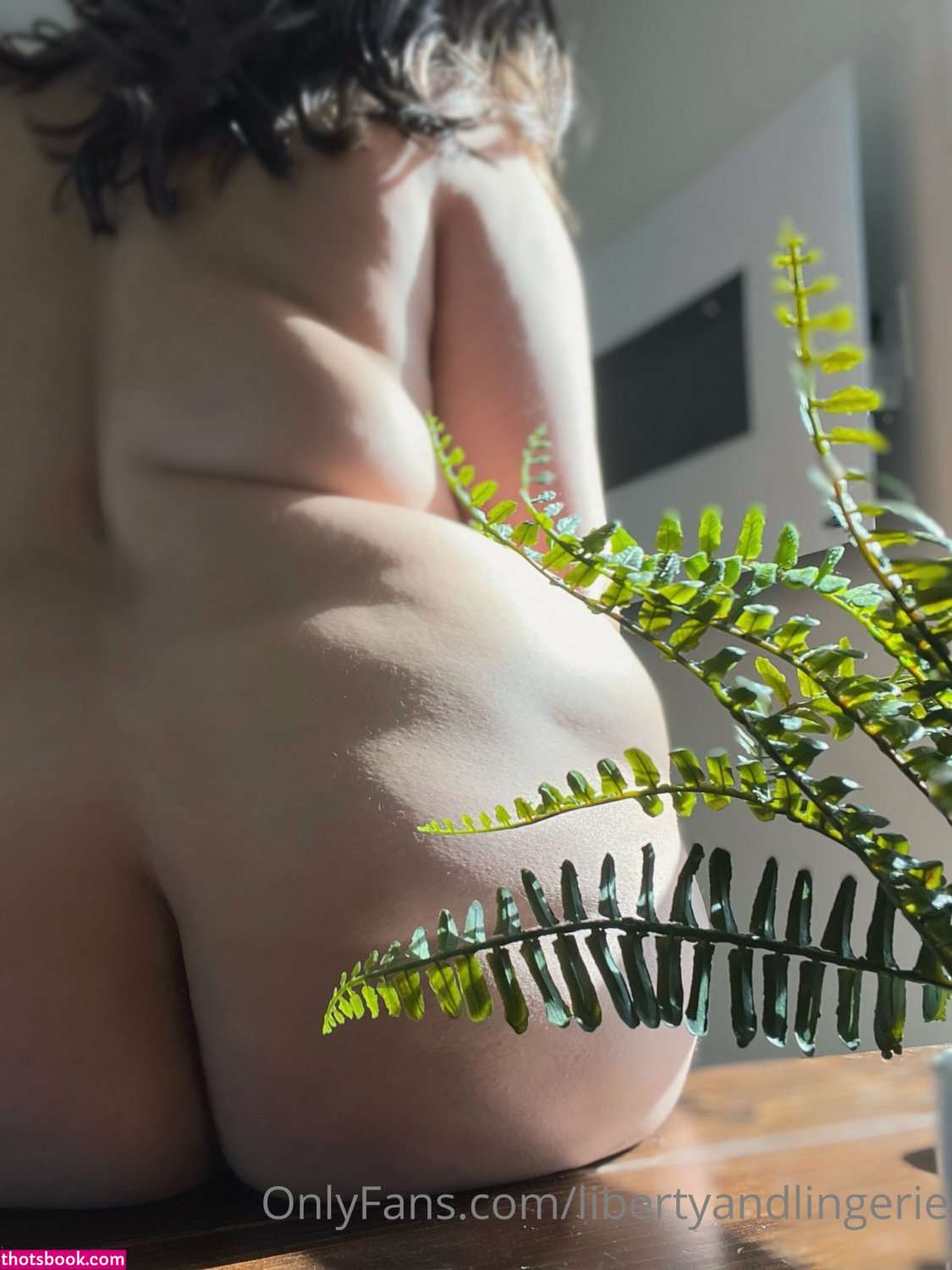 Libertyandlingerie Nude OnlyFans Photos #5 898707