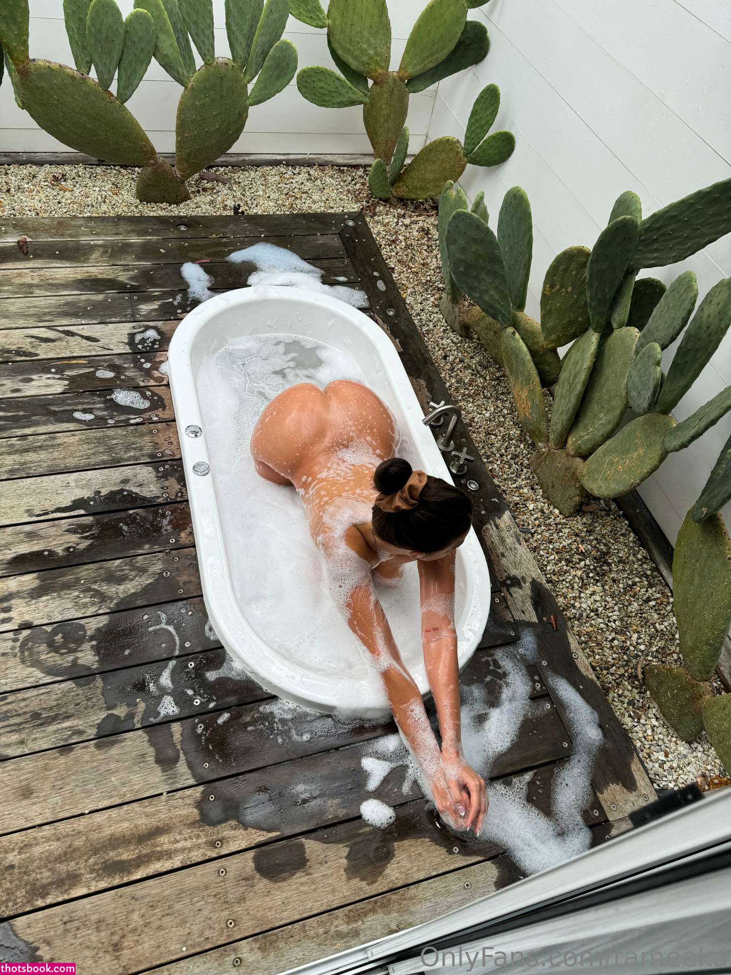 Tameeka Nude OnlyFans Photos #20 888987