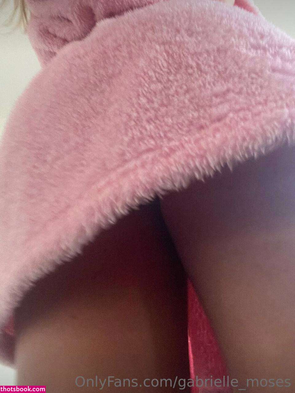 Gabrielle Moses Nude OnlyFans Photos #2 890984