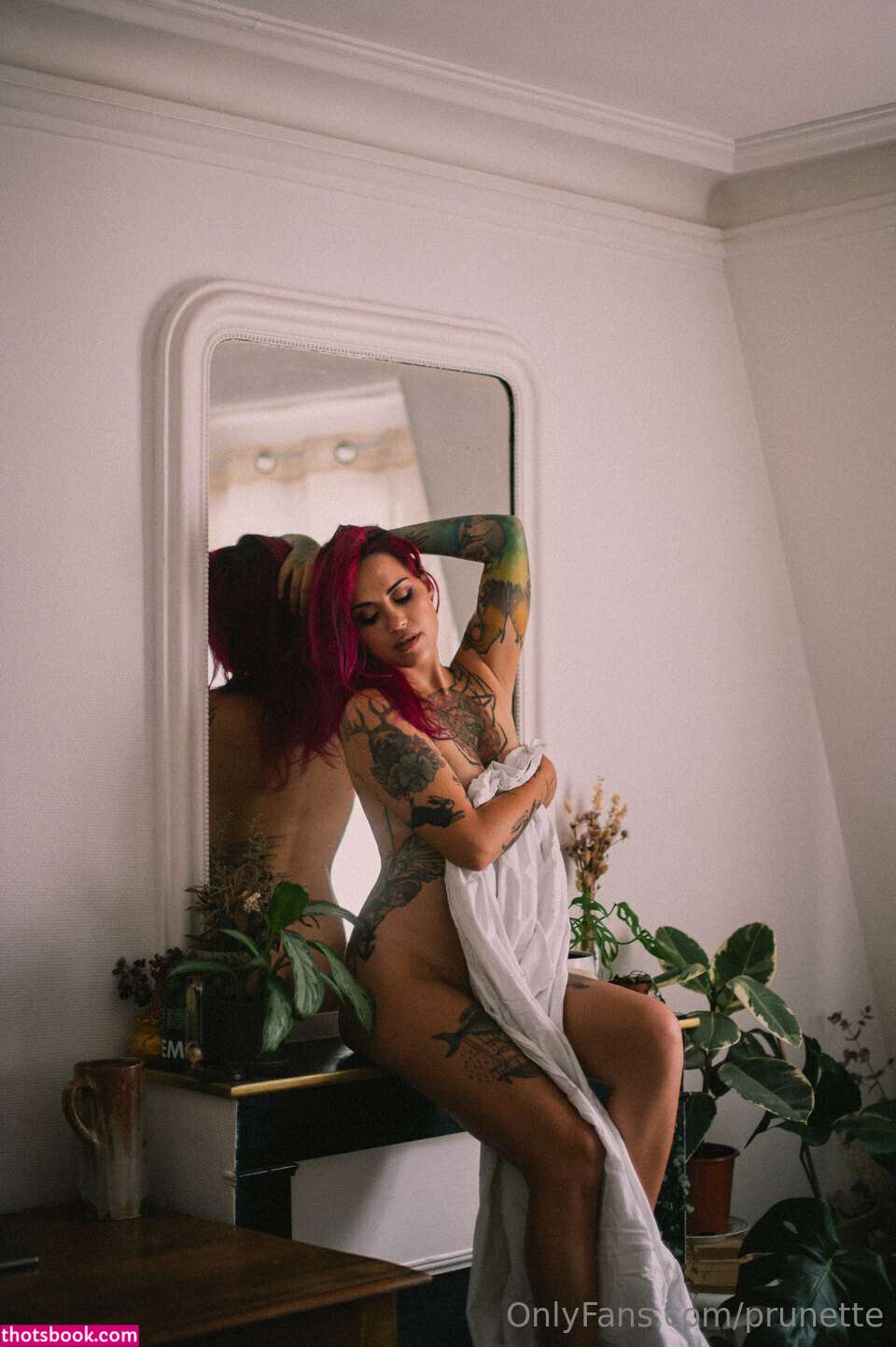 Prunette Nude OnlyFans Photos #12 911535