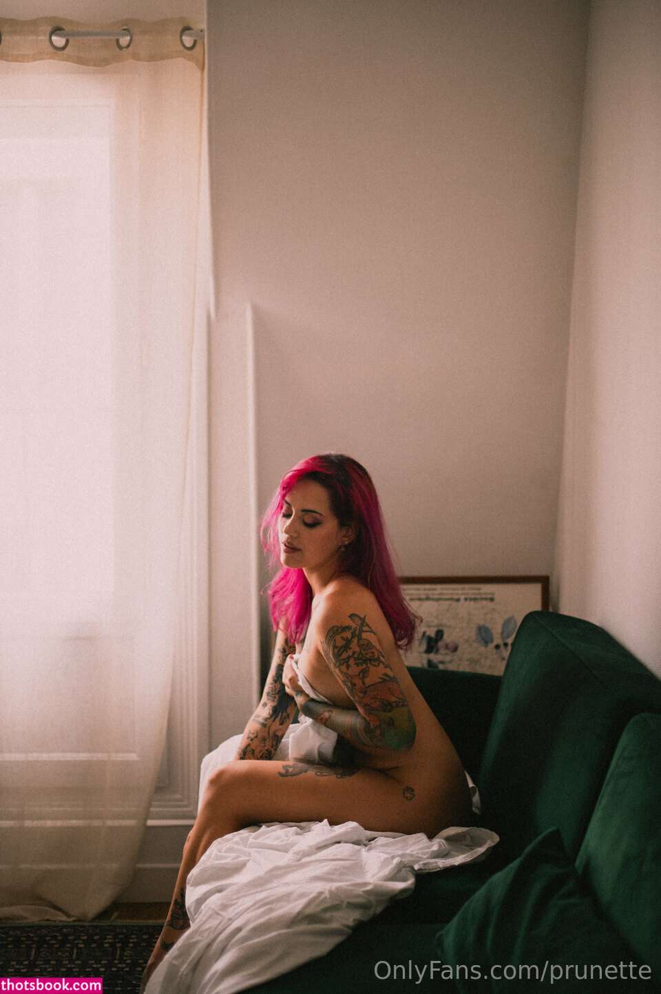 Prunette Nude OnlyFans Photos #12 911536