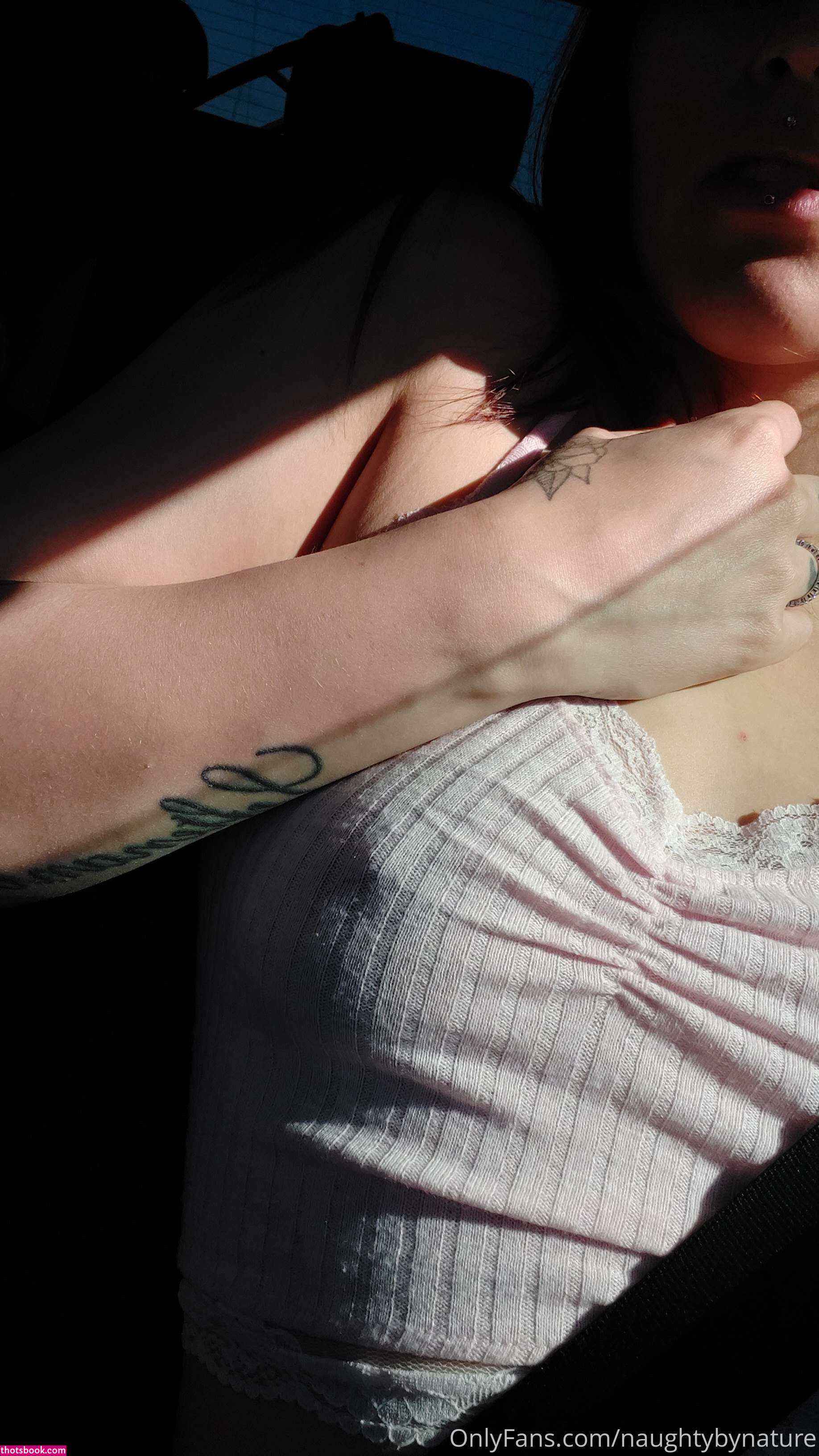 naughtybynature Nude OnlyFans Photos #1 925453