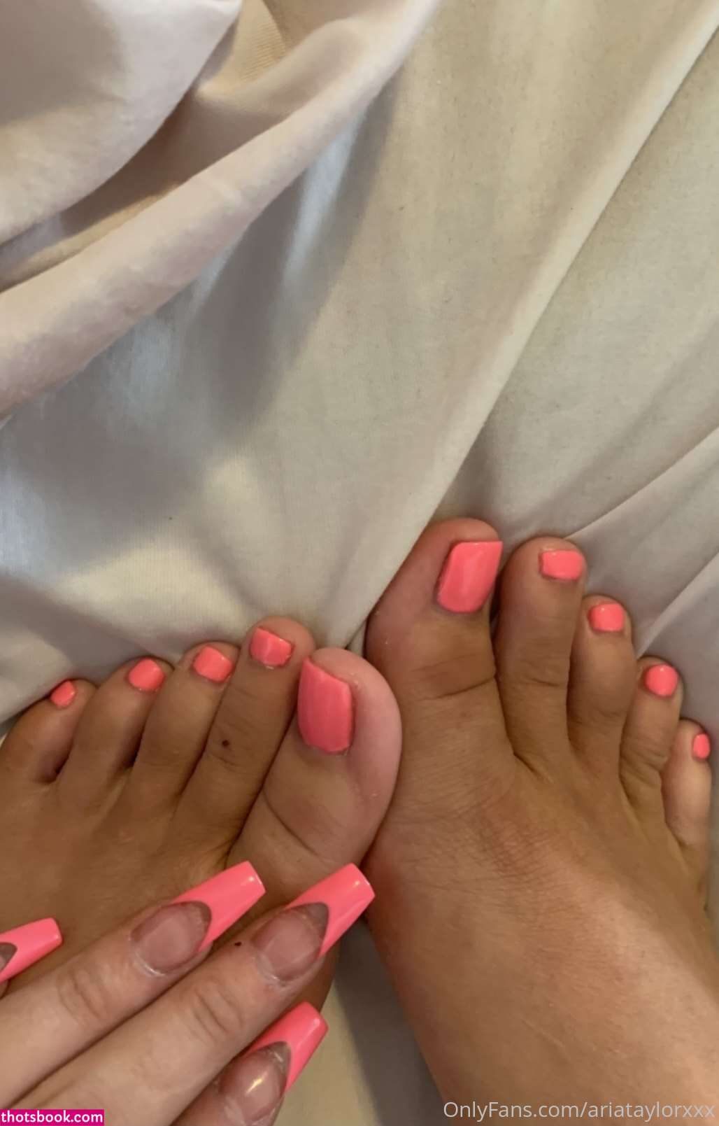 Aria Taylor ariataylorxxx Nude OnlyFans Photos #8 940352