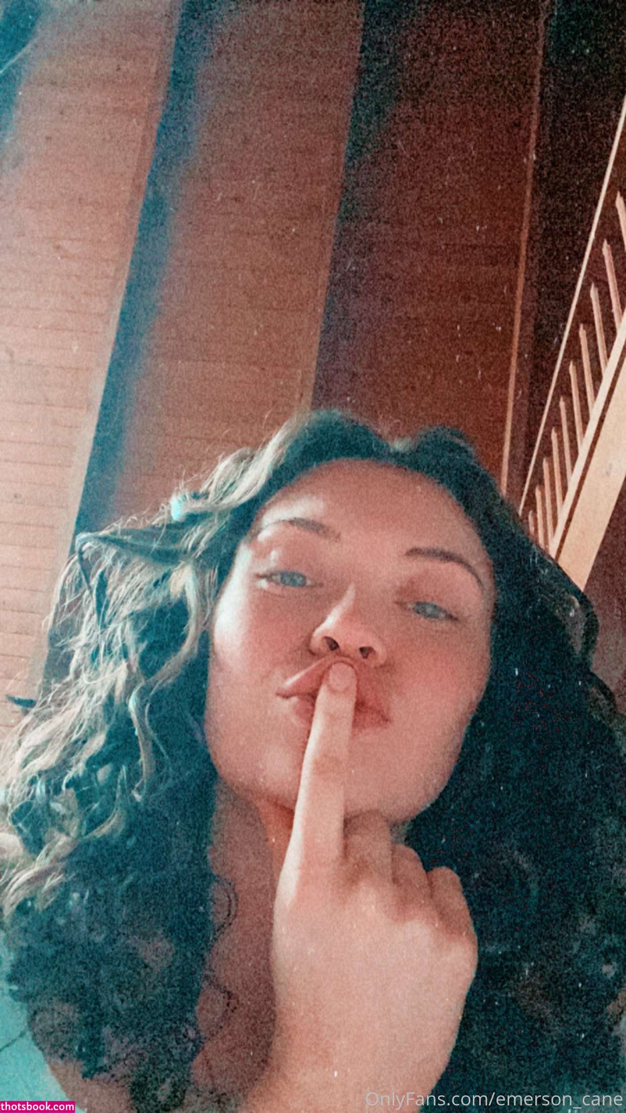 emersoncane Nude OnlyFans Photos #8 940699